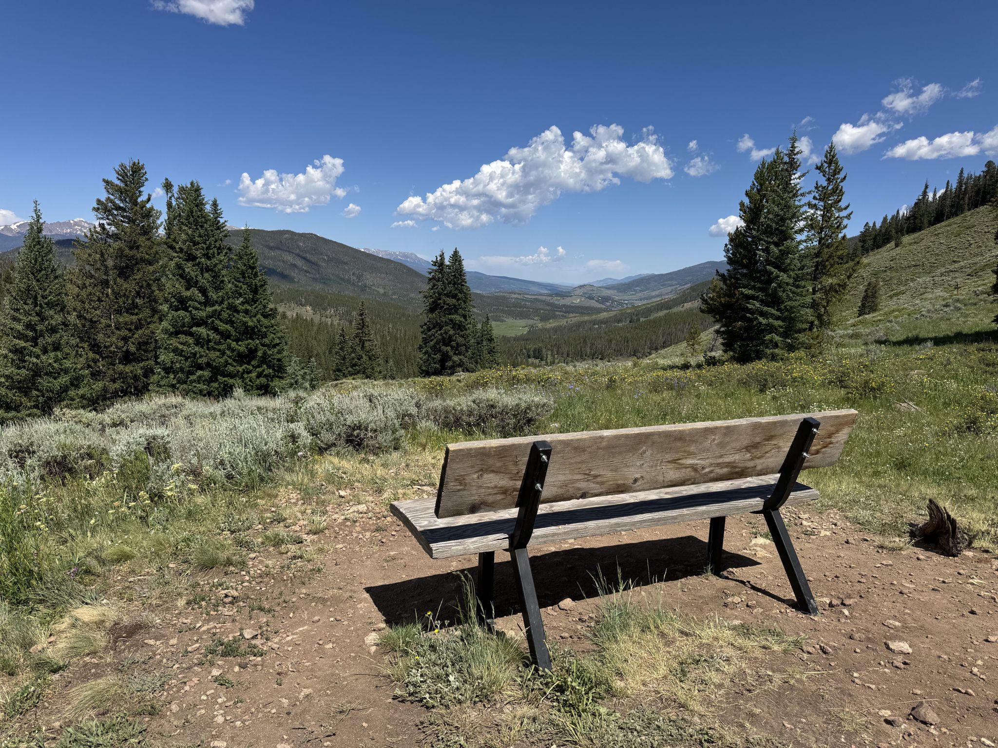 Wooden bench overlooks a sunny mountain valley with pine trees and clouds. - Colorado Trail: Segment 6