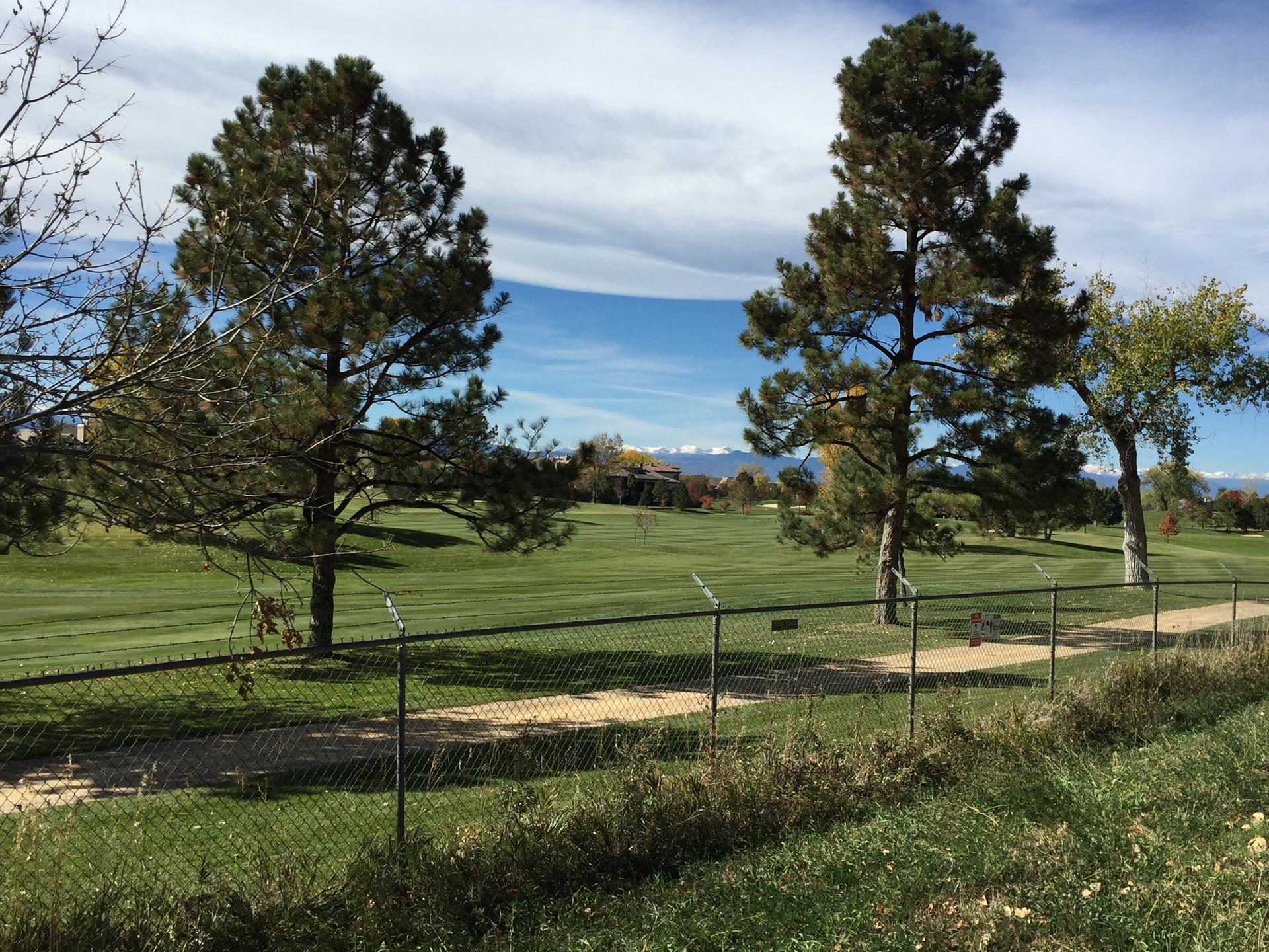 Bright daylight illuminates a green field with tall trees and a fence, distant mountains.