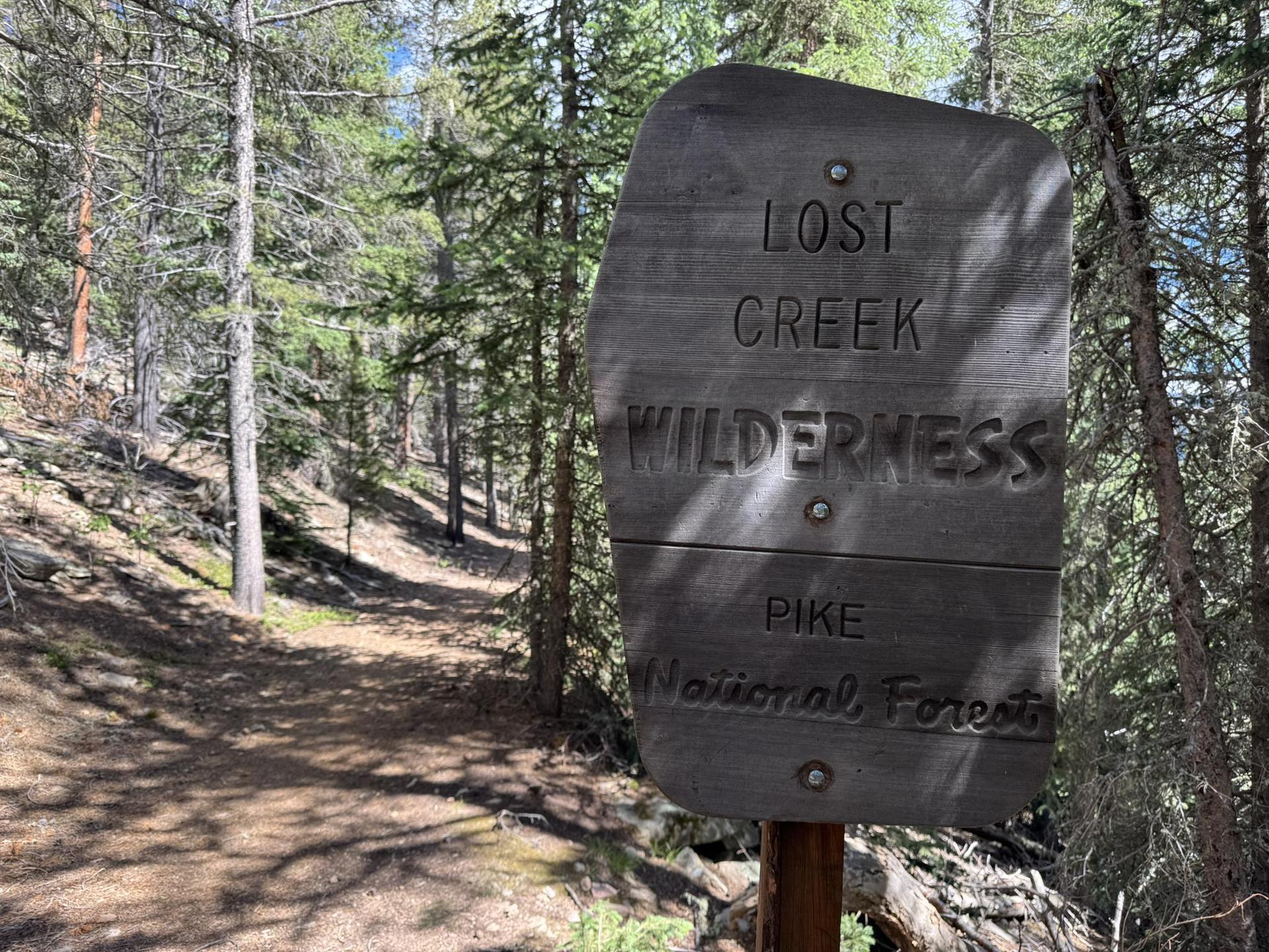 A wooden sign stands beside a dirt path in a sunlit pine forest.
