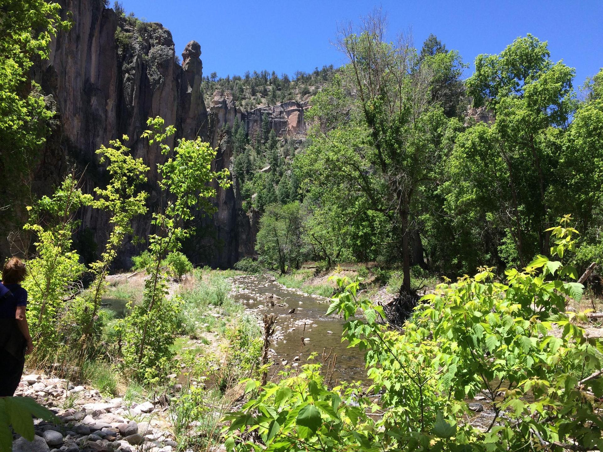 A person stands by a rocky river flowing through a lush, sunny canyon.