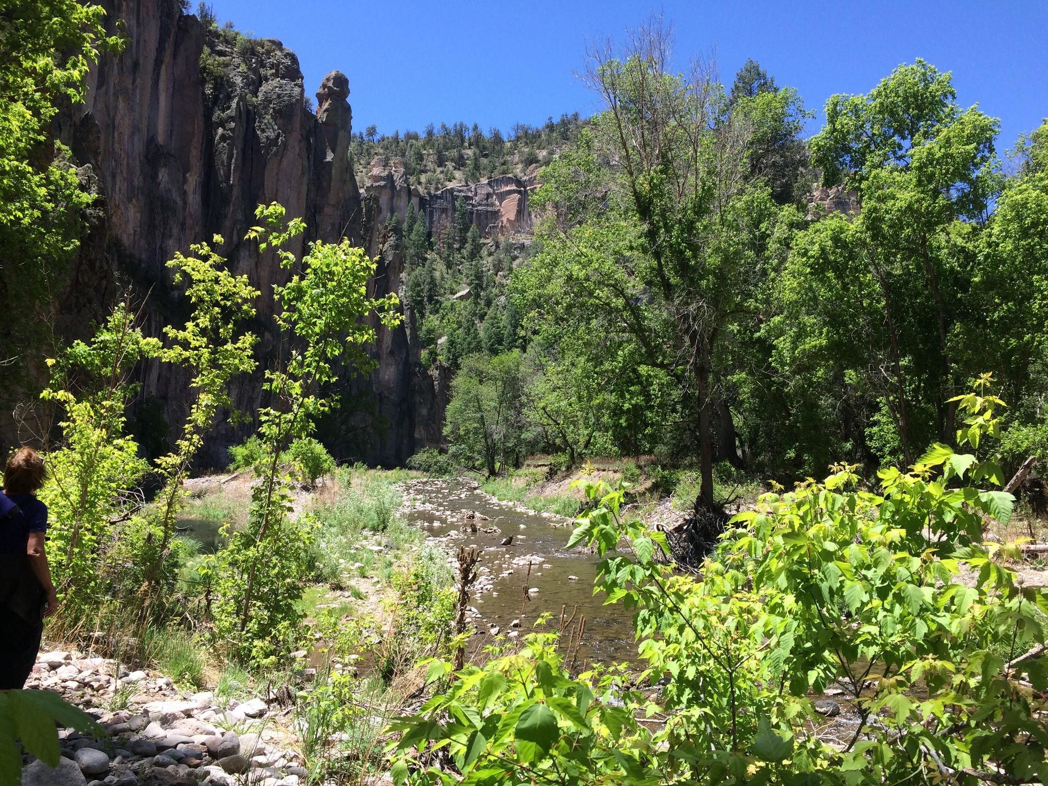 A person stands by a rocky river flowing through a lush, sunny canyon. - Little Bear Canyon and Middle Fork Gila Loop