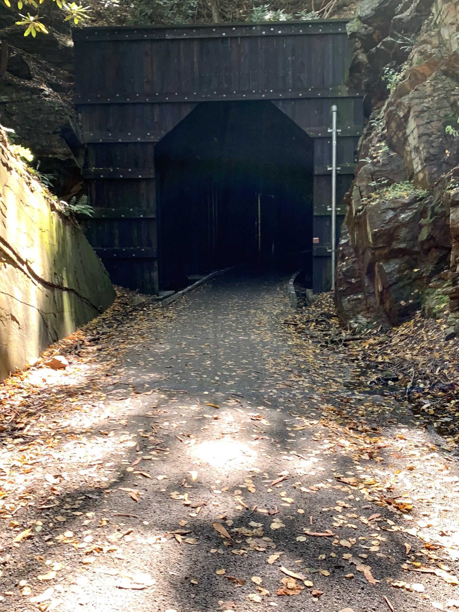 Dark tunnel entrance with a leaf-strewn path and rocky walls.