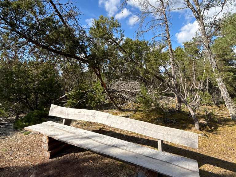 Rest Area with Shelter and Bench Routes for Walking and Hiking | Komoot