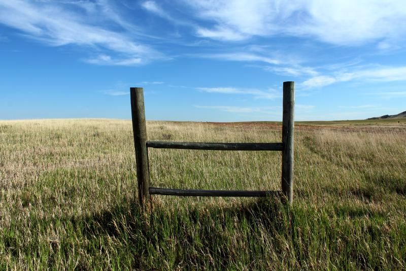 Wooden fence posts stand in a field of tall green and brown grass. - Coyote Ridge Trail