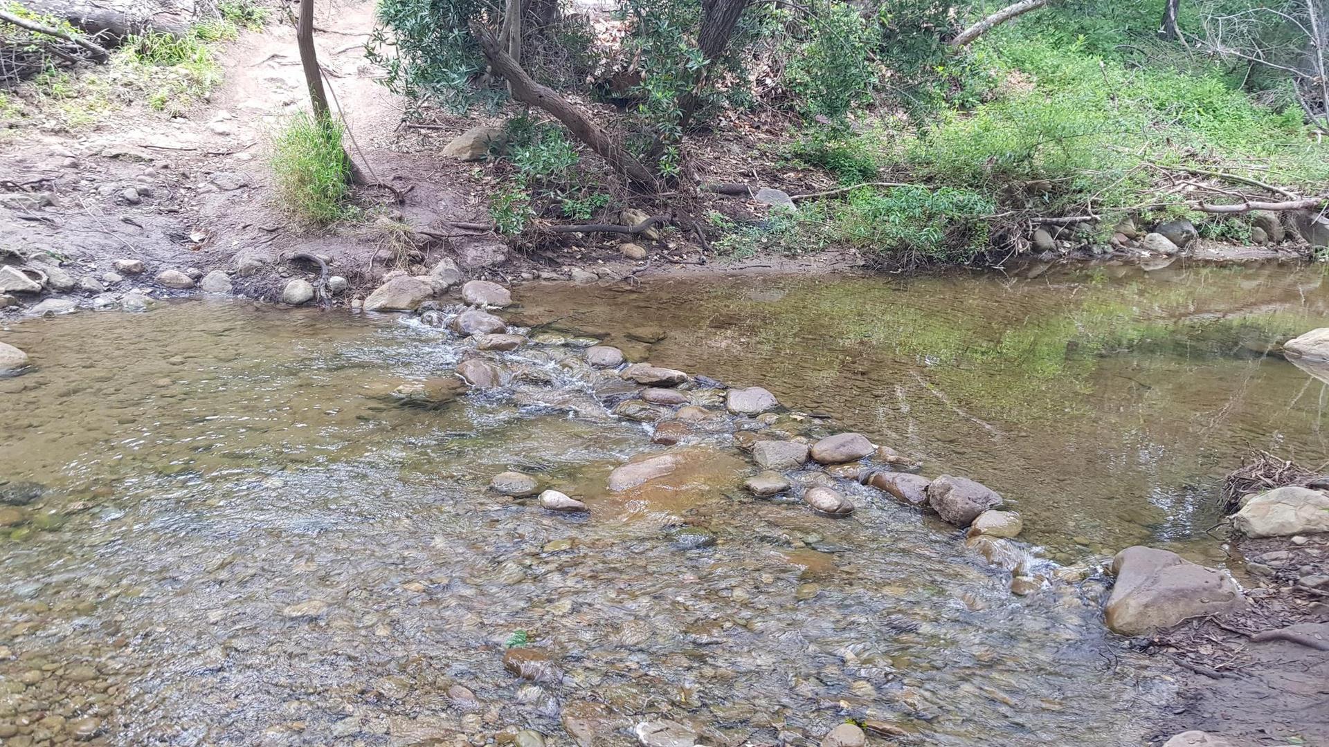A shallow stream with stepping stones across, surrounded by green foliage and a dirt path.