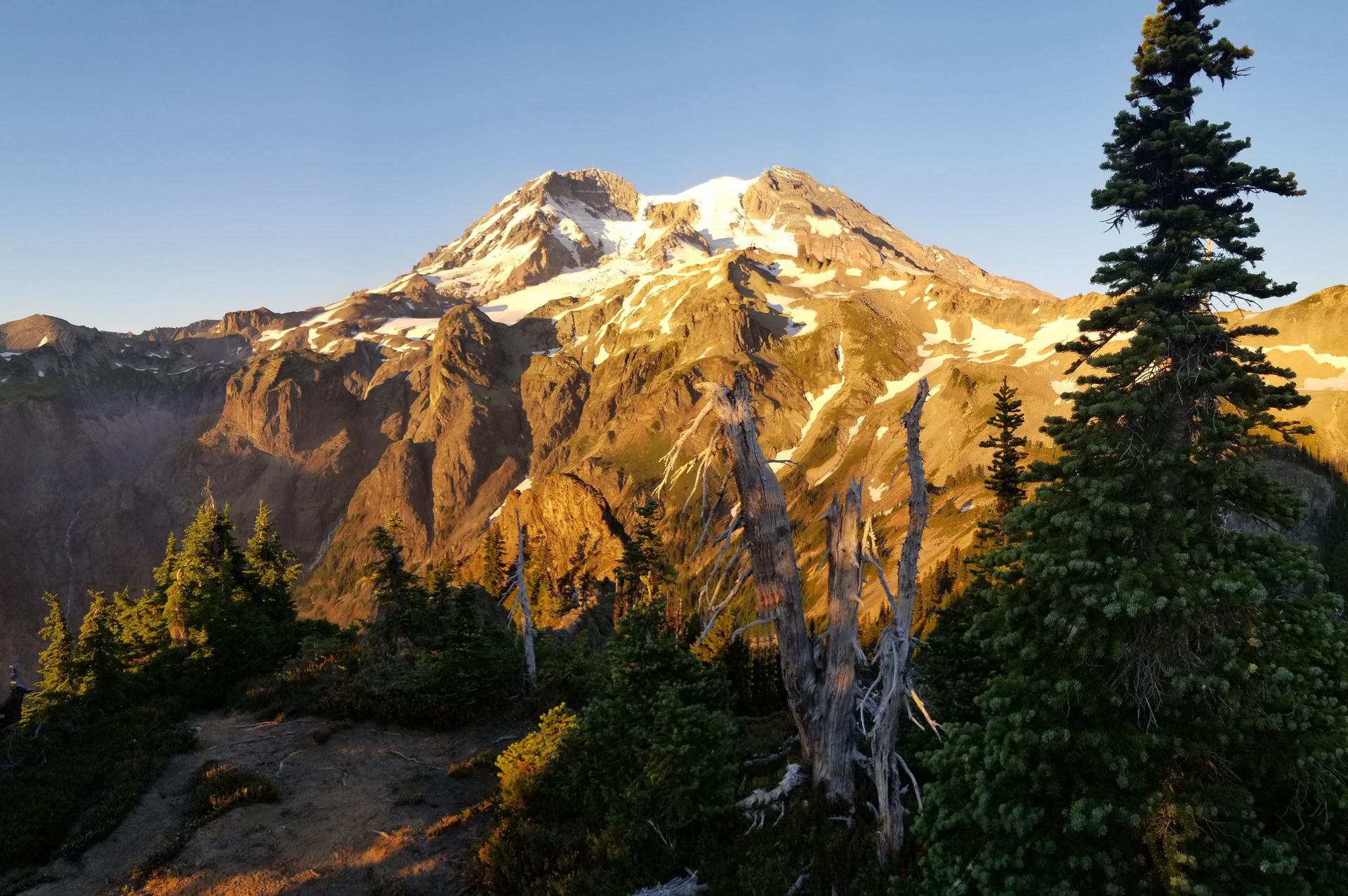 Snowy mountain peak bathed in golden light, with evergreen trees.