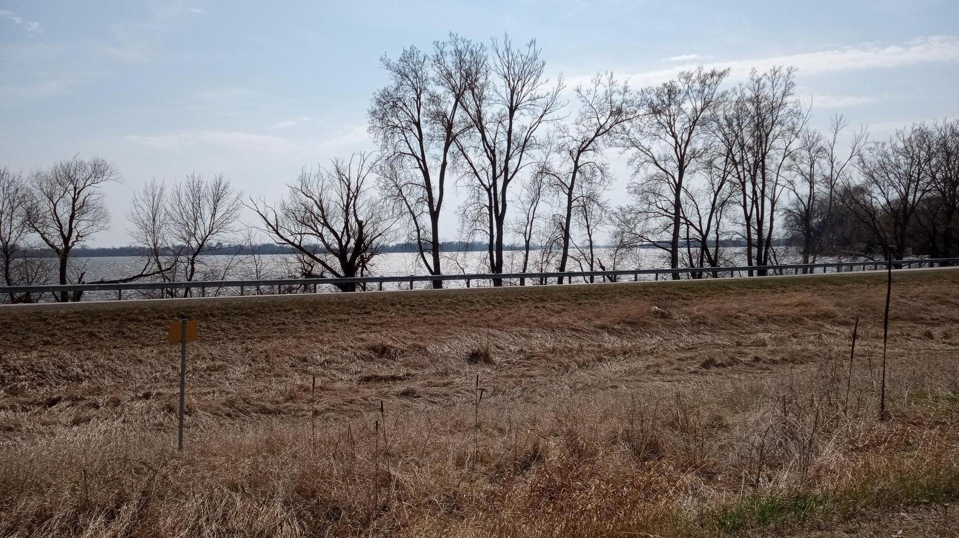Bare trees line a body of water next to a road on an overcast day.