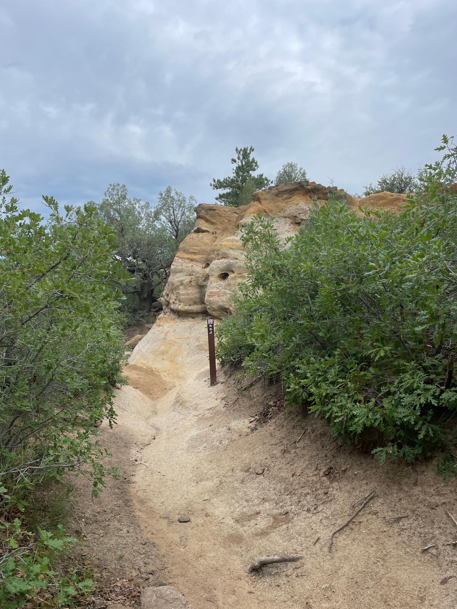 Dirt path leading towards a large rock formation surrounded by green trees.