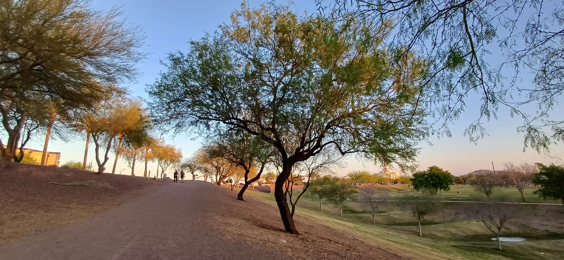 Warm light illuminates a dirt path lined with trees and distant walkers.