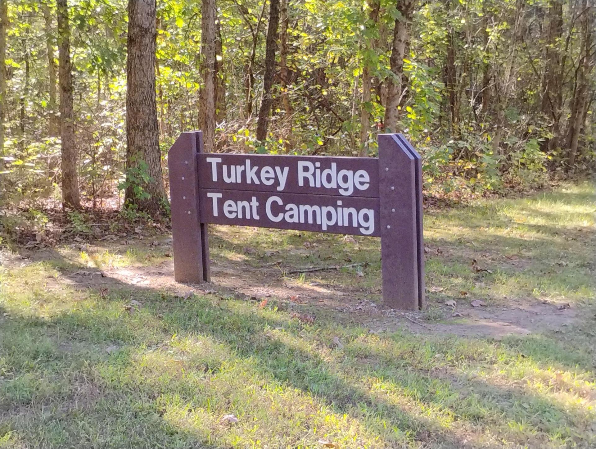 A brown wooden sign for "Tent Camping" in a grassy, wooded area.