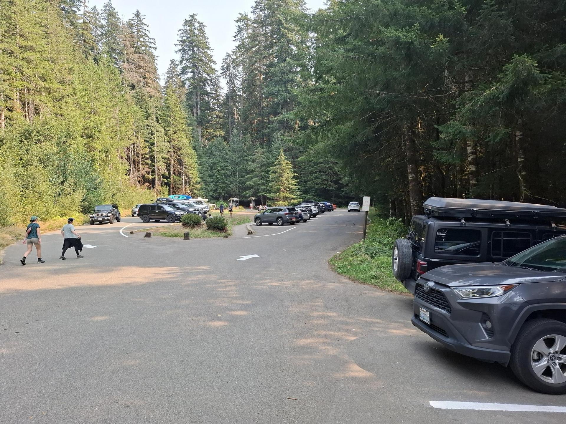 People walk in a busy parking lot surrounded by tall green forest.