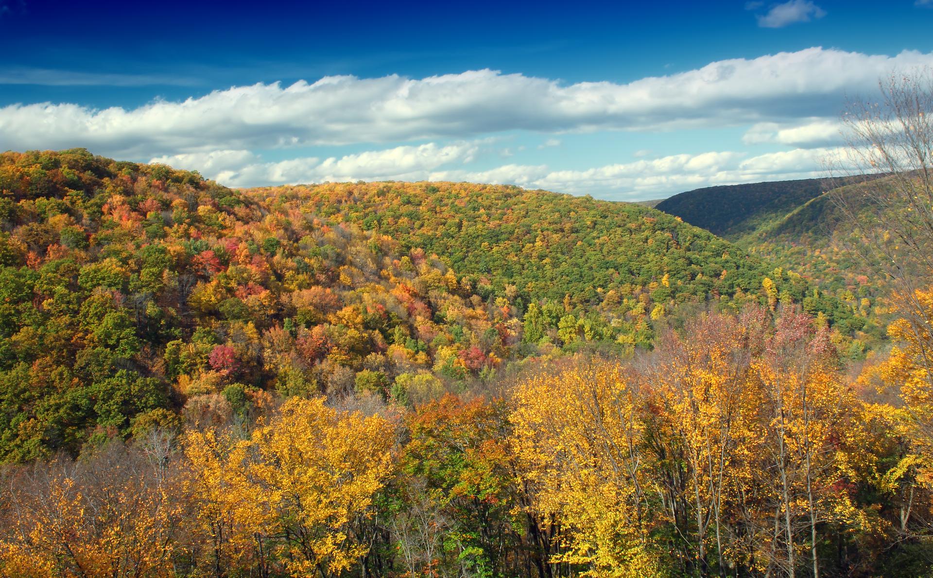 Expansive view of a valley covered in colorful autumn trees under a blue sky.