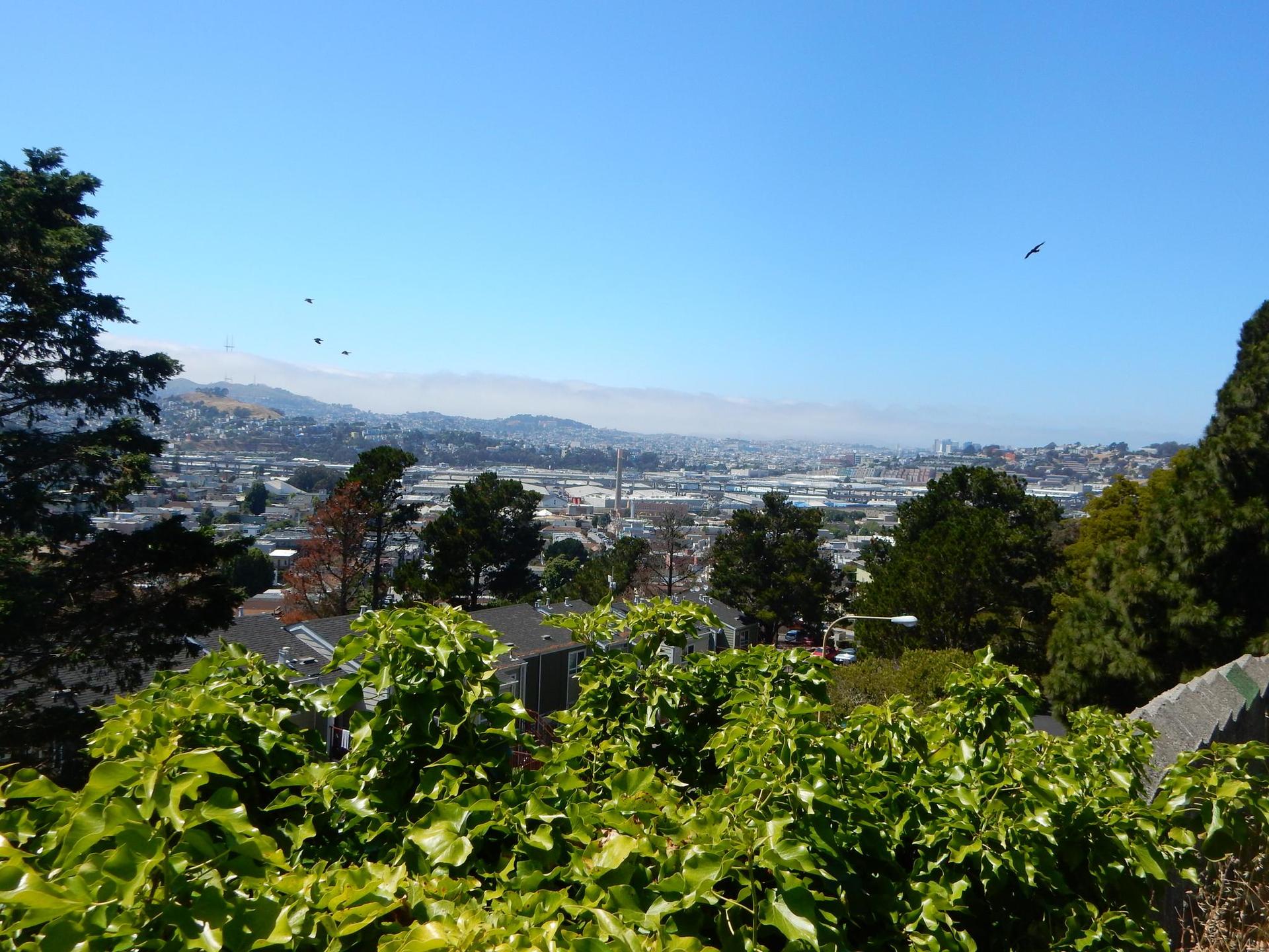 Bright sunny view of a city and distant hills from a green overlook.