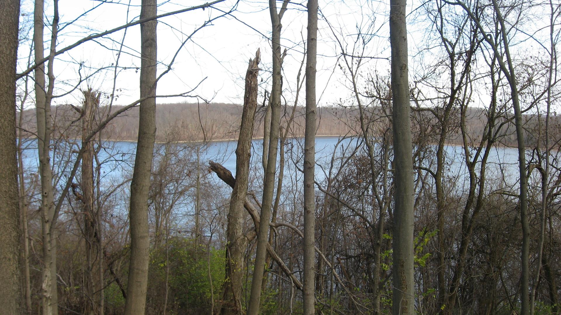 A blue lake is visible through a dense stand of bare trees.
