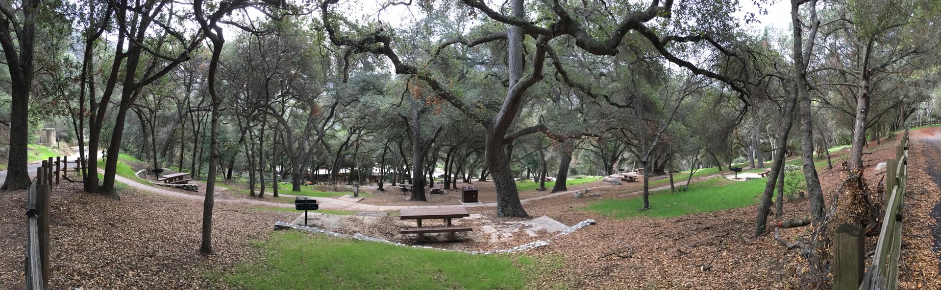 A shaded picnic area with tables and grills under large, sprawling trees.