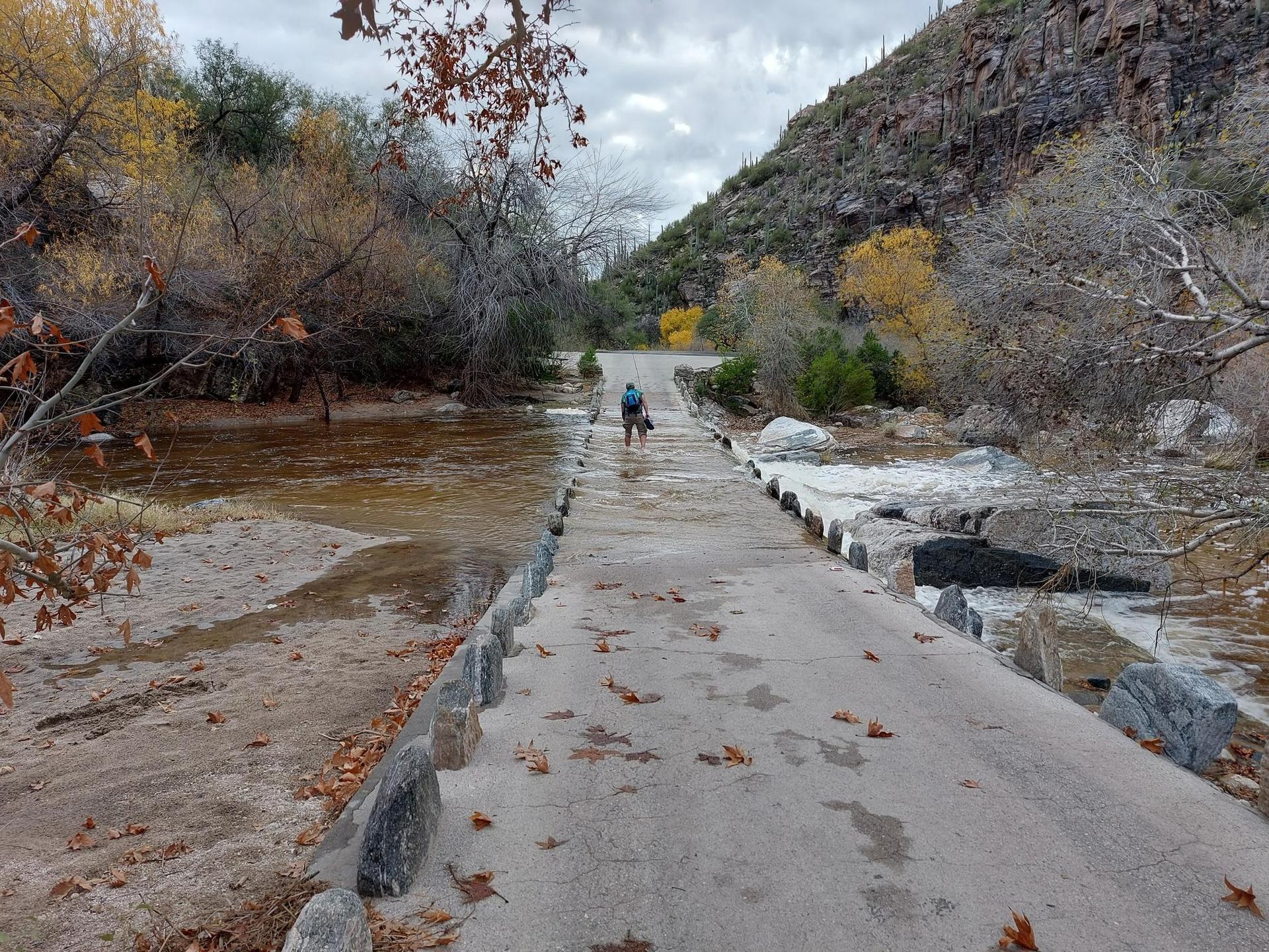 Person and dog walk on a concrete path through a muddy river.