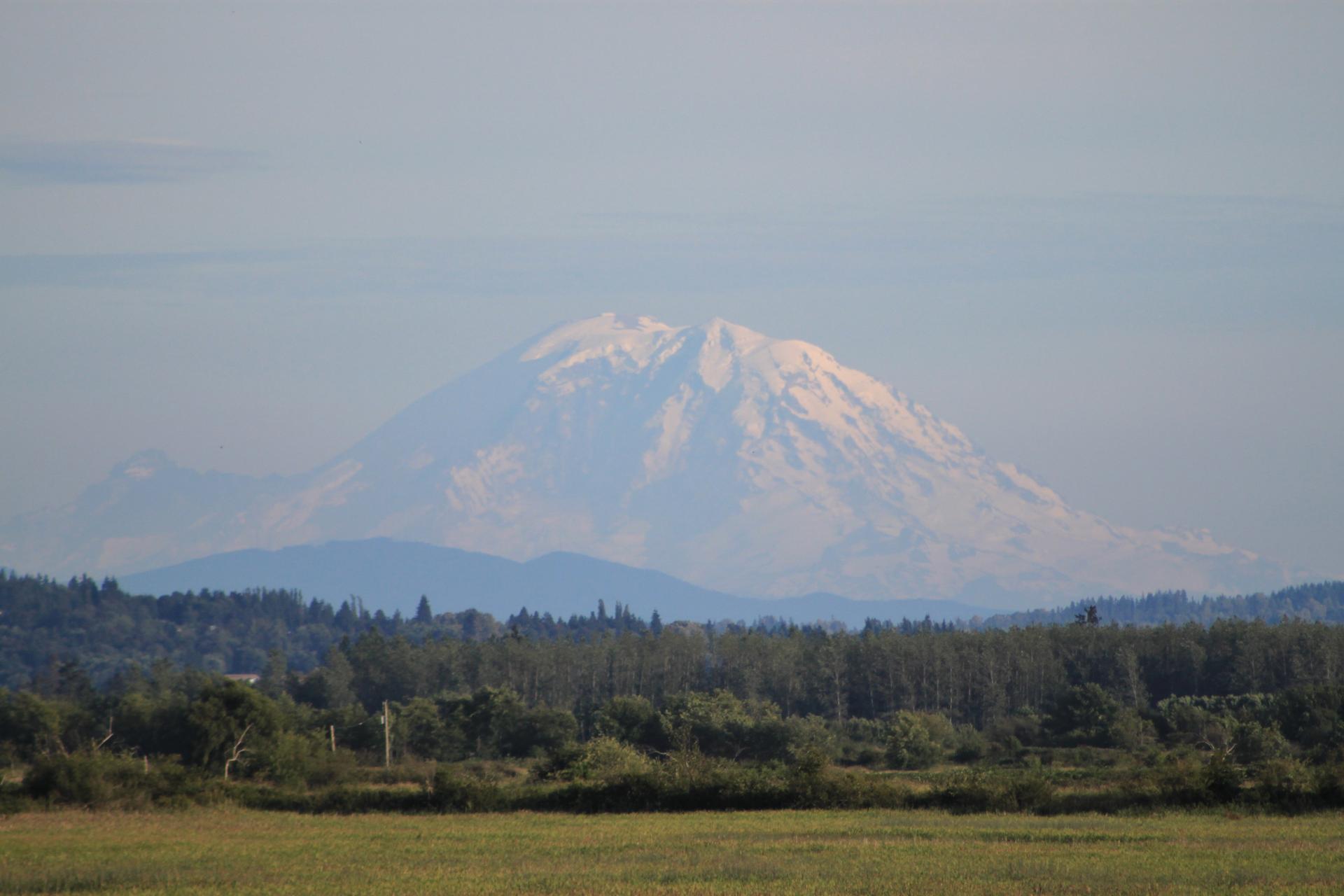 Distant snow-capped mountain behind a forest and grassy field under hazy sky.