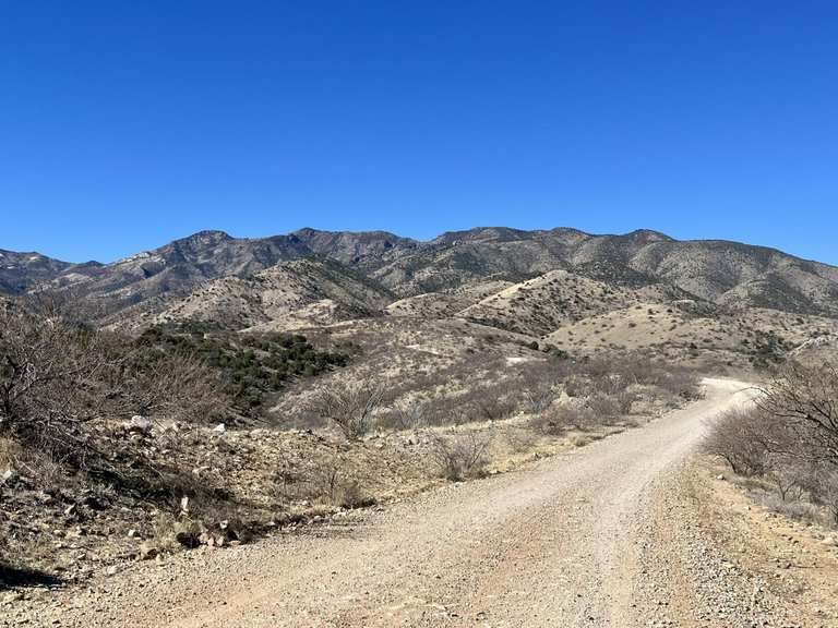 Mt. Lemmon loop via North Control Road — Coronado National Forest ...