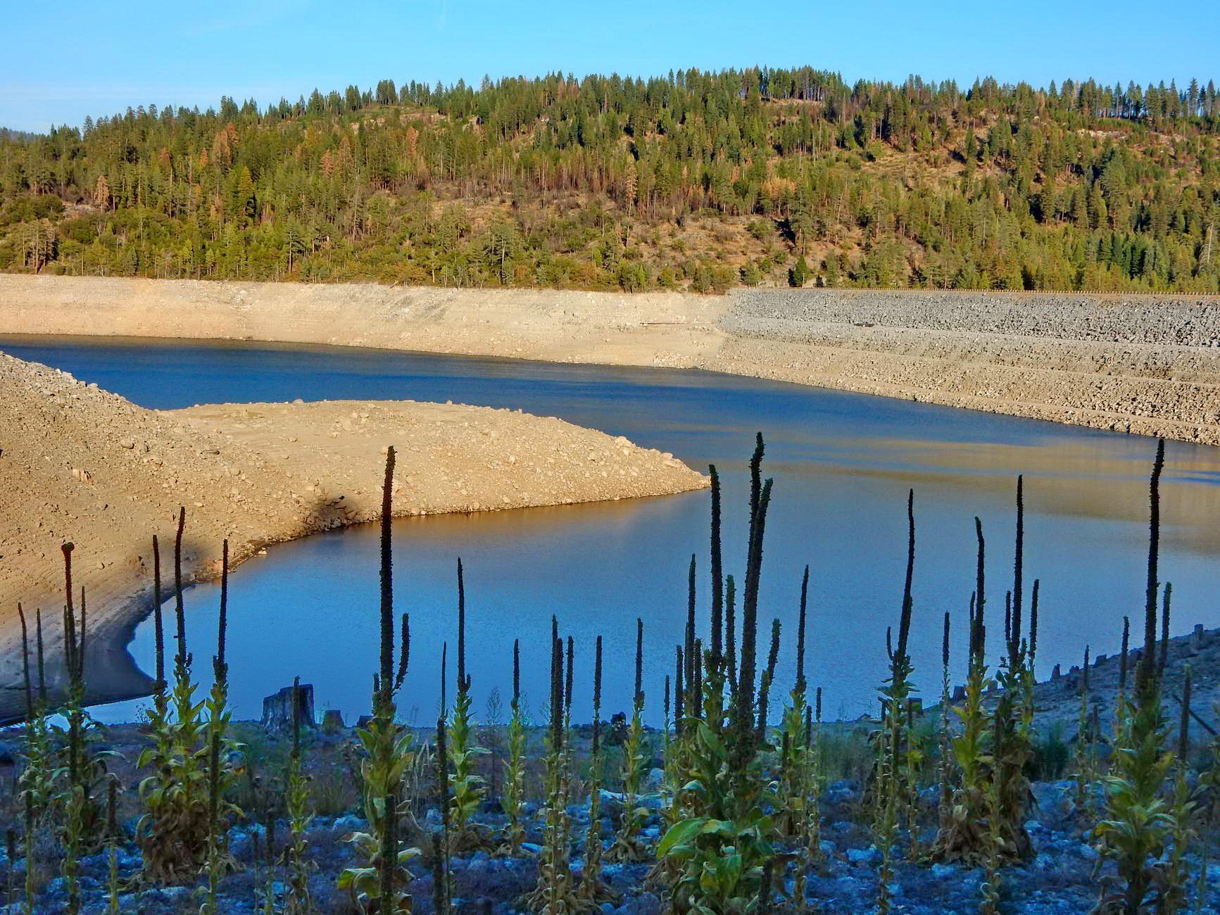 Lake with exposed shoreline, foreground plants, and distant forested hills.