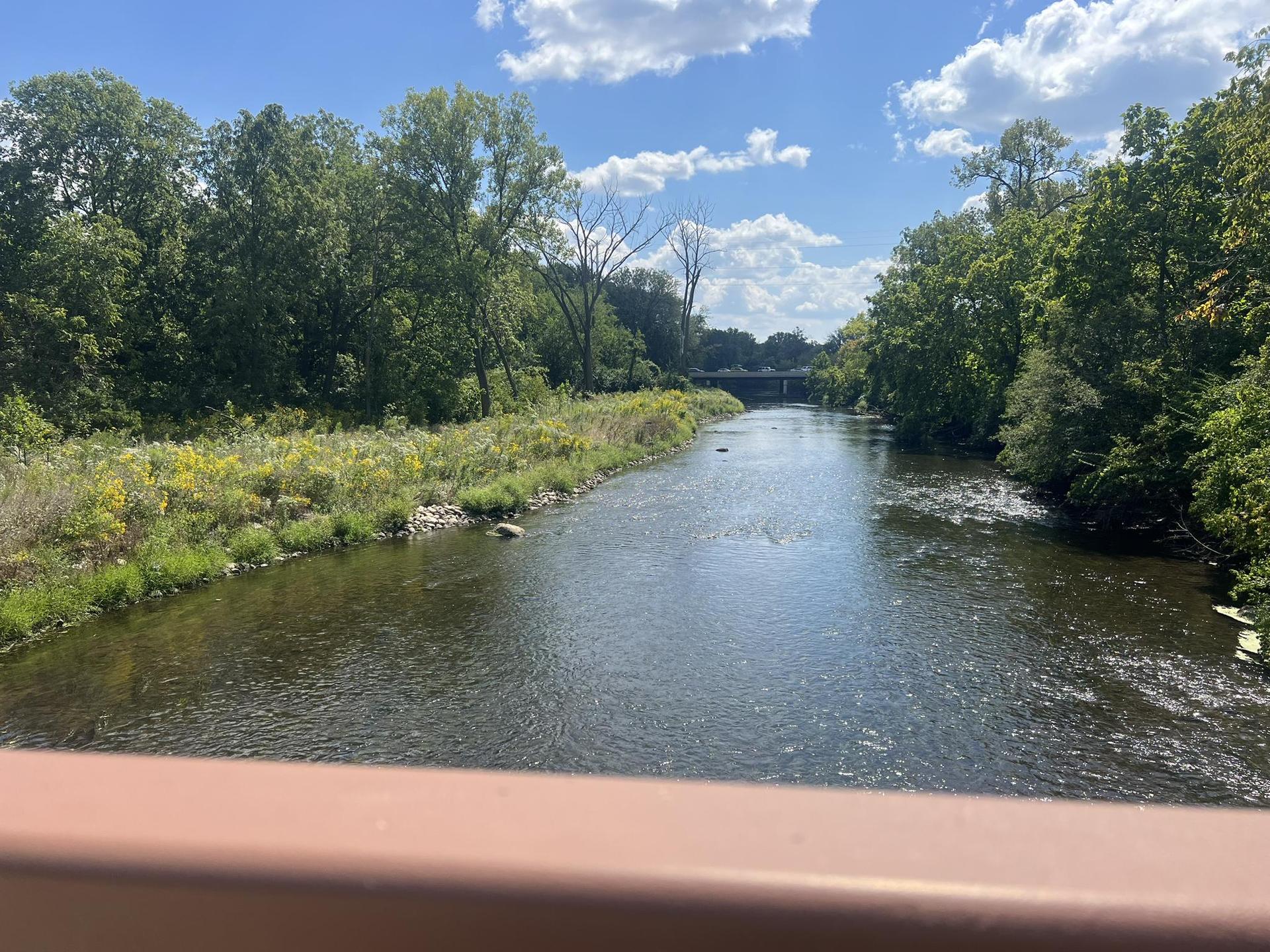 A river flows through a lush green landscape under a bright, cloudy sky.