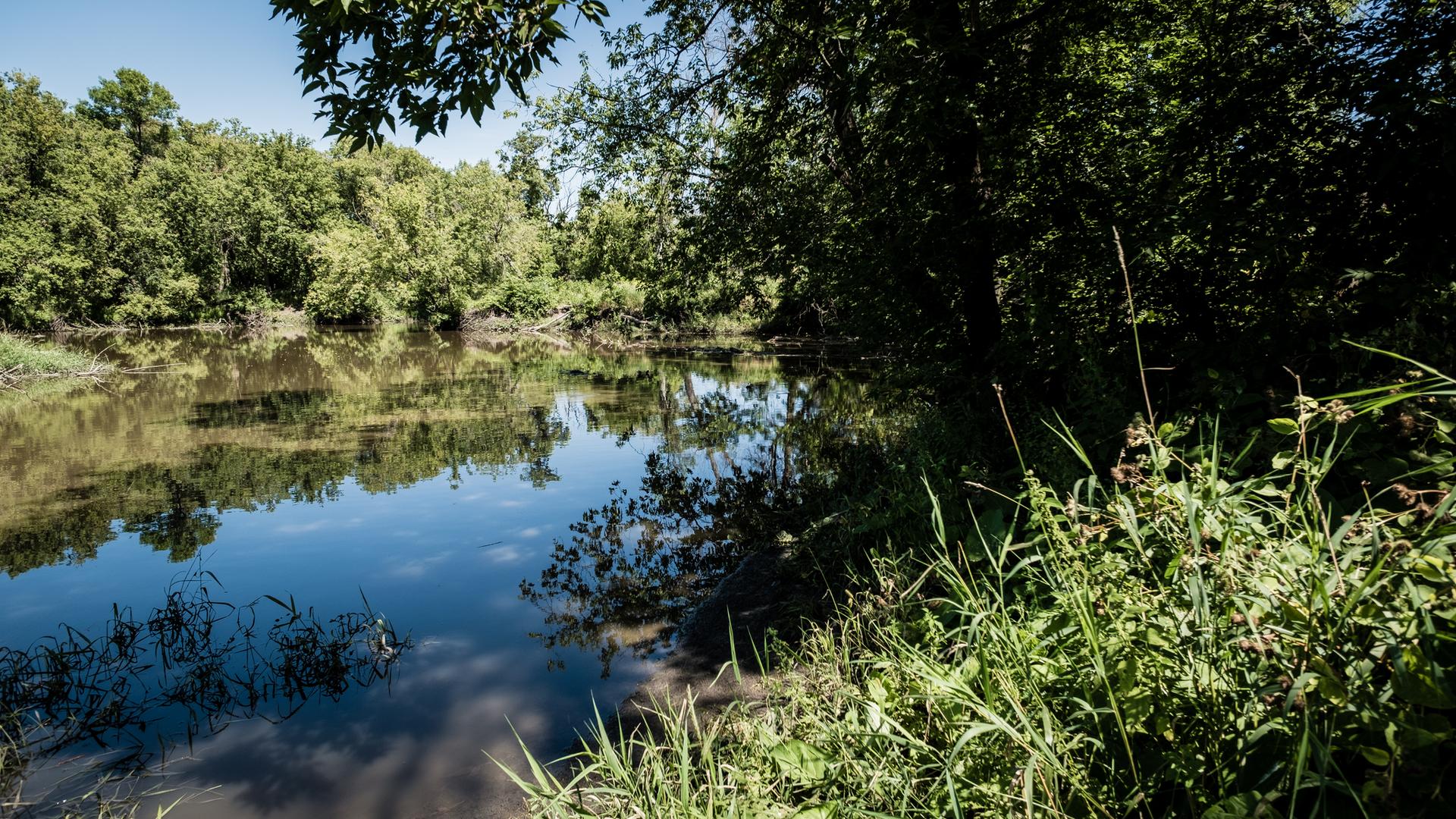 Serene river with reflections, surrounded by lush green trees and tall grass.