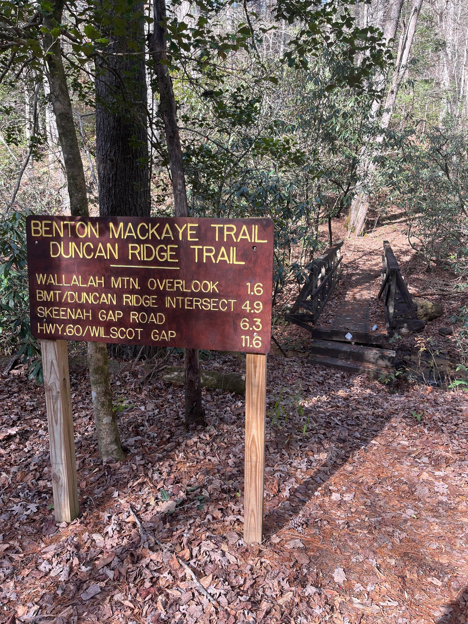 A wooden trail sign stands in a sun-dappled forest next to a small bridge.