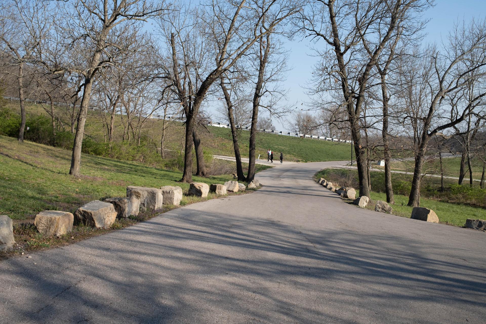 Paved path winding through grassy hills with bare trees and two distant walkers.