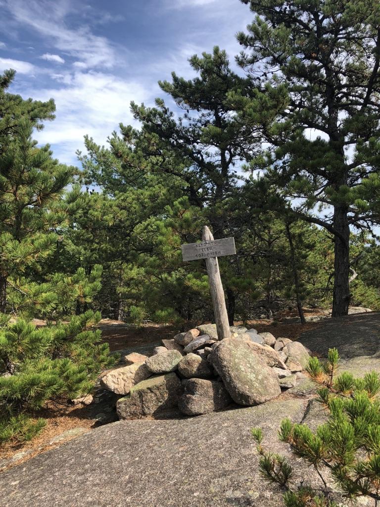 A wooden signpost stands on a rock cairn amidst pine trees.