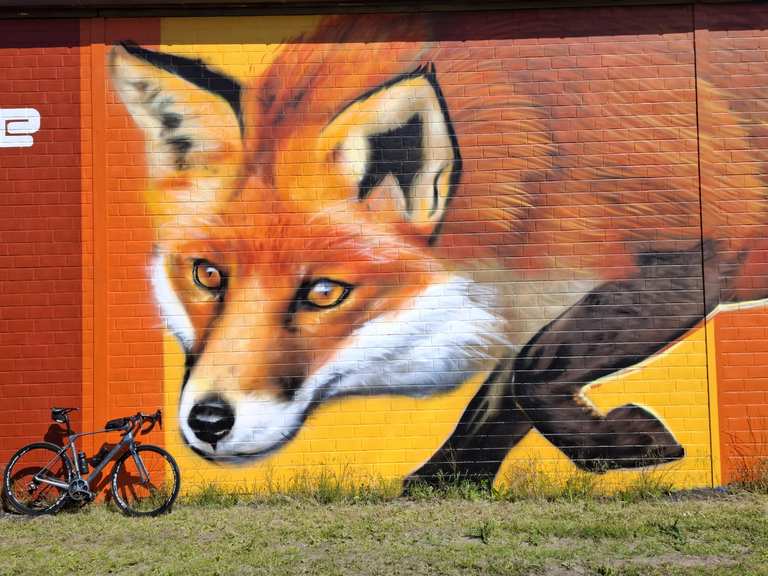 Fuchs-Graffiti von Lackaffen.de – Radrouten & Anfahrt | Komoot