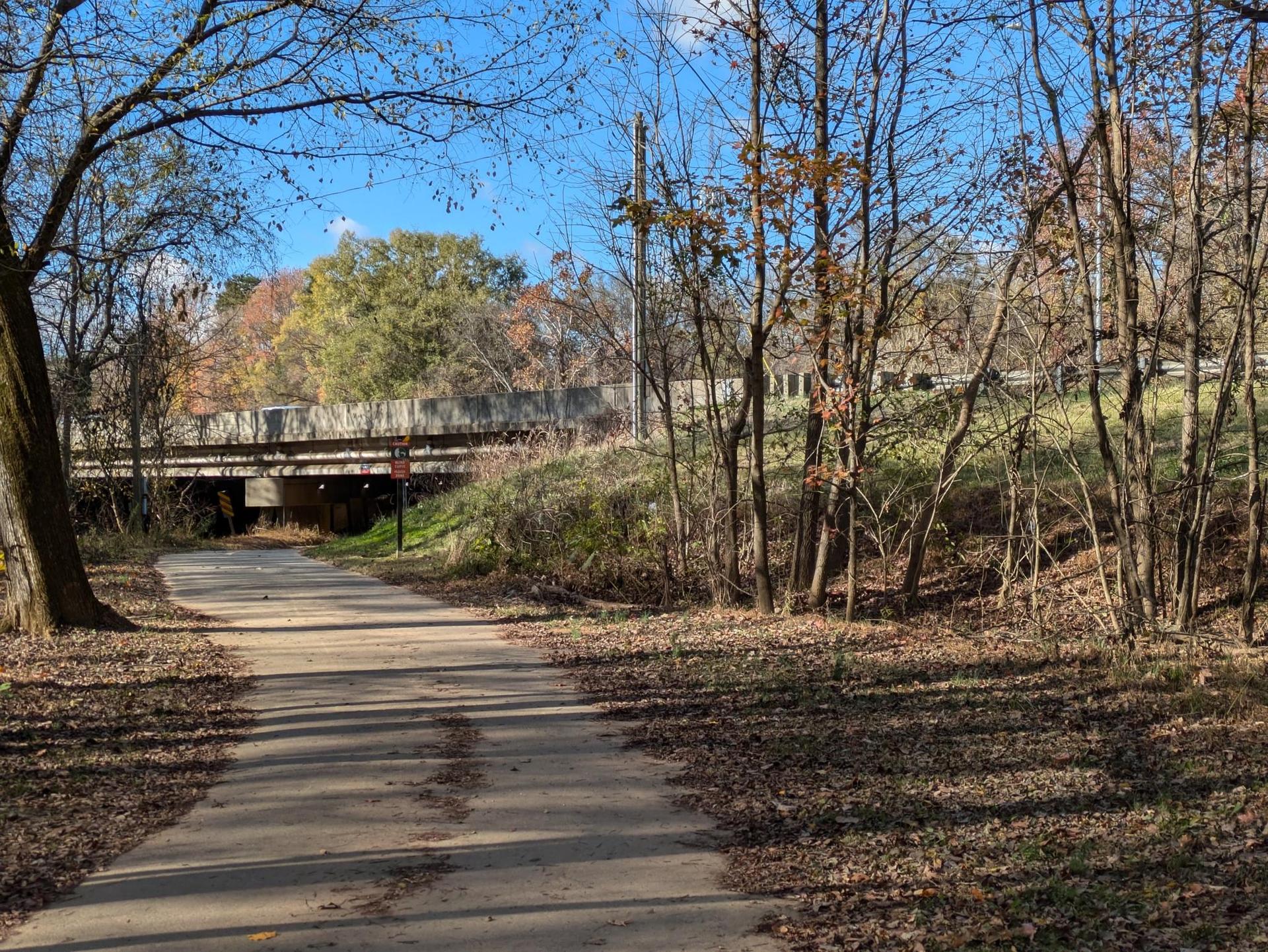 Sunny paved path leading under a bridge, bordered by trees and fallen leaves.
