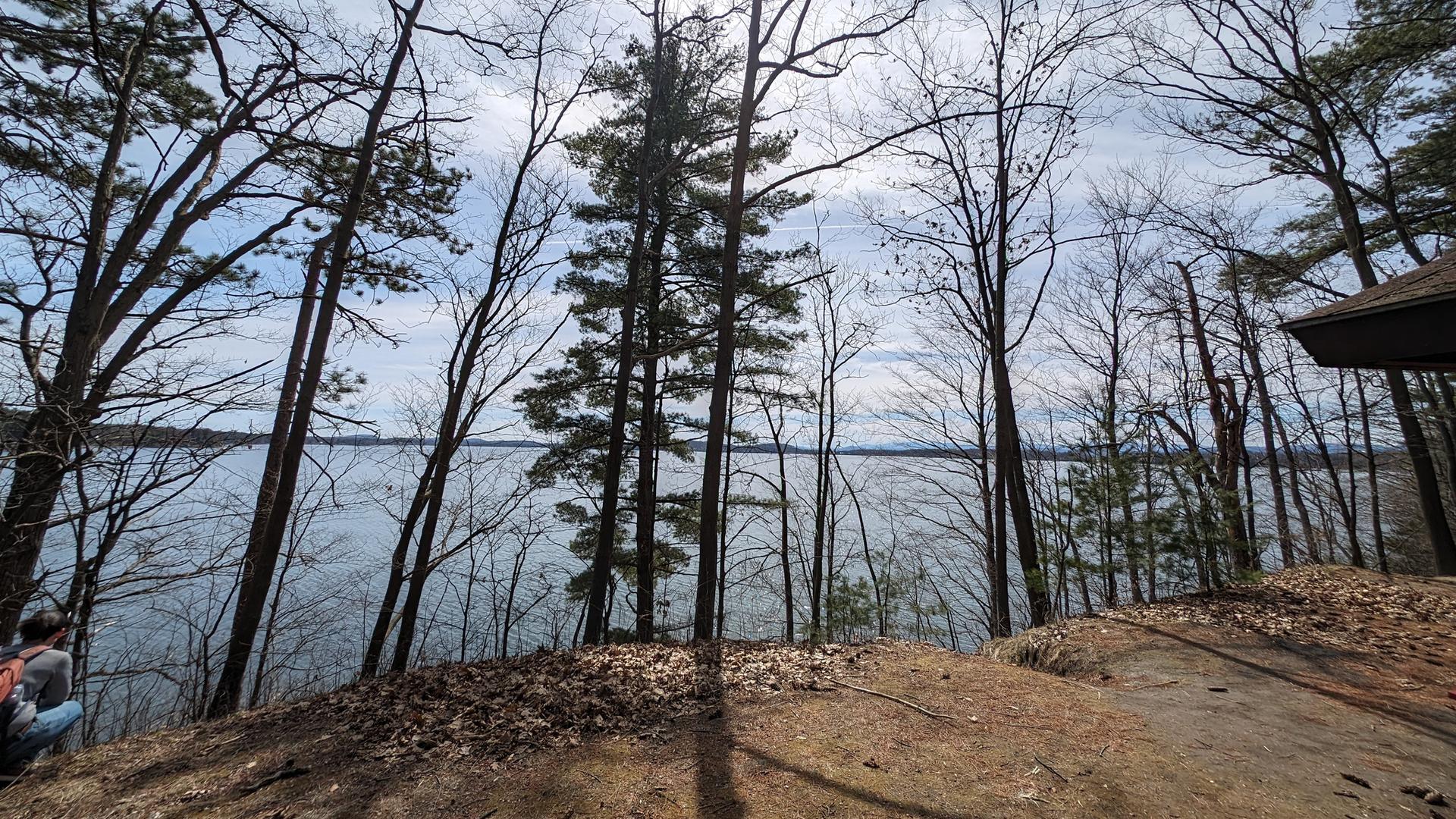 Person views a large lake through bare and evergreen trees under an overcast sky.