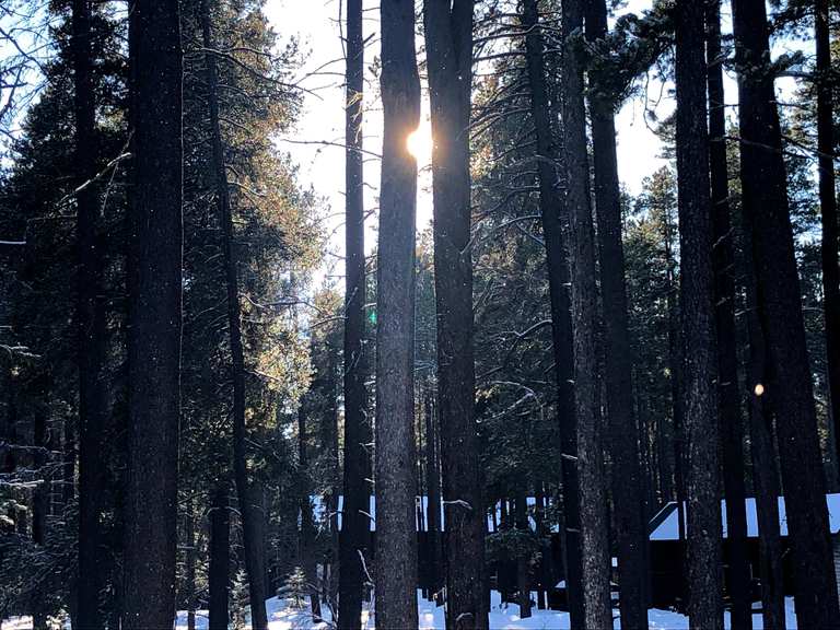 Ridge Run & Valley View Trail loop — Cypress Hills Interprovincial Park ...