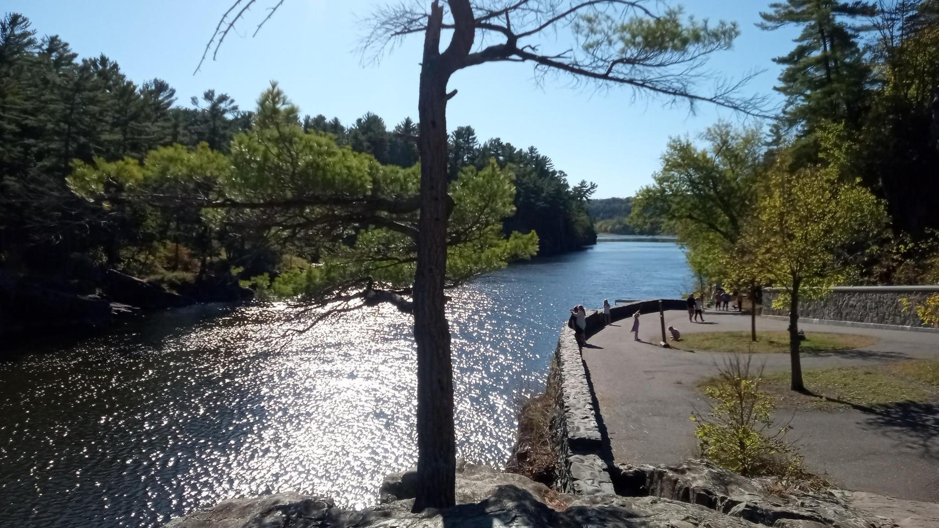 Sunny river with sparkling water, a tree, and people on a paved path.