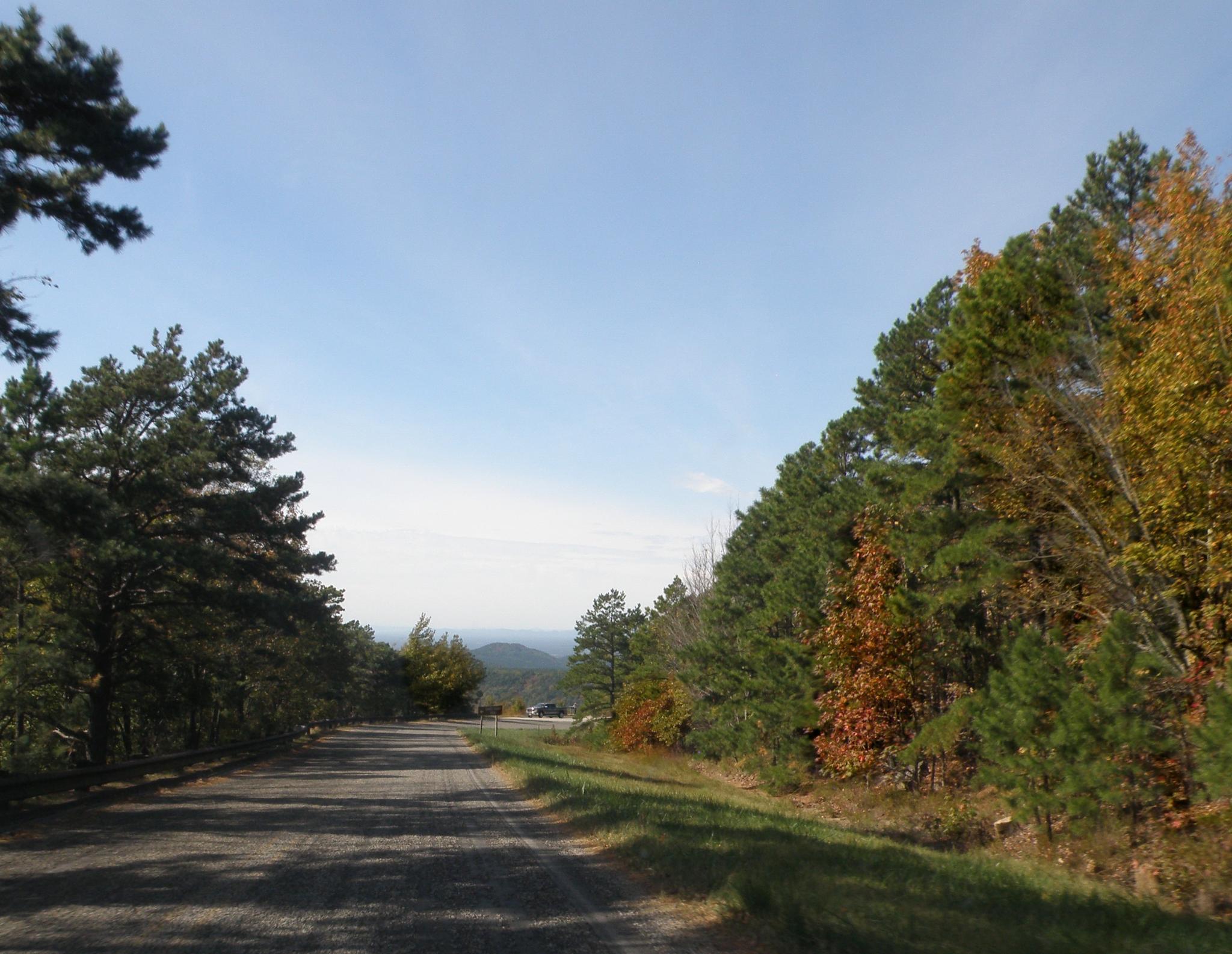 A paved road winding through autumn trees under a clear blue sky.