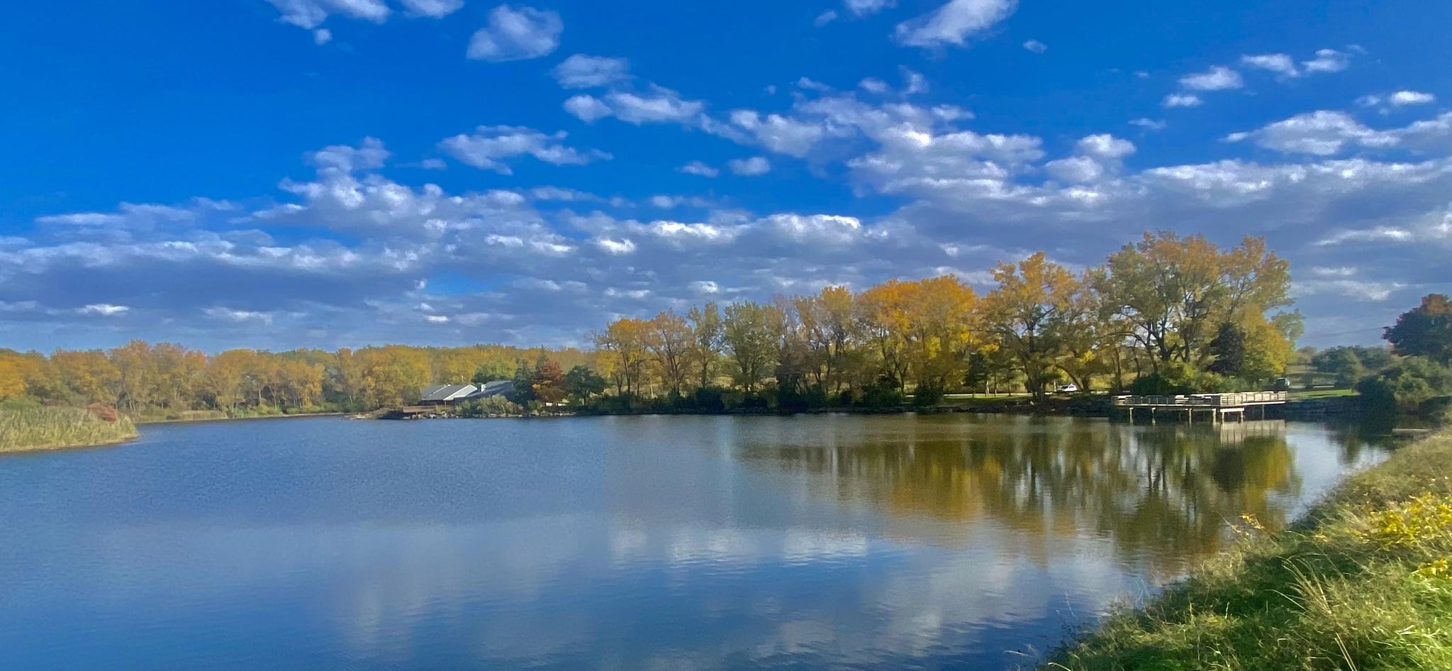 Calm lake reflecting a bright blue sky with golden autumn trees.