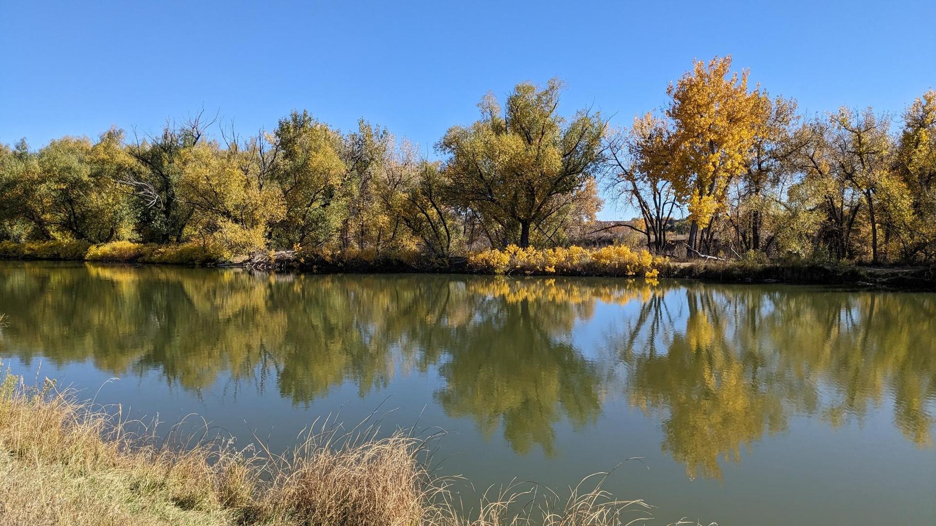 Calm river reflects vibrant autumn trees under a clear blue sky.