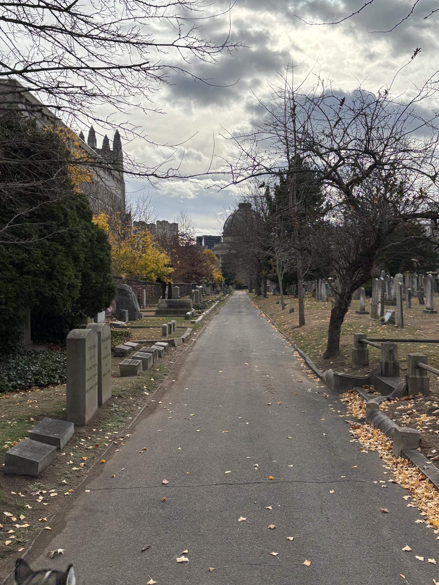 Overcast view of a paved path lined with gravestones and autumn trees.