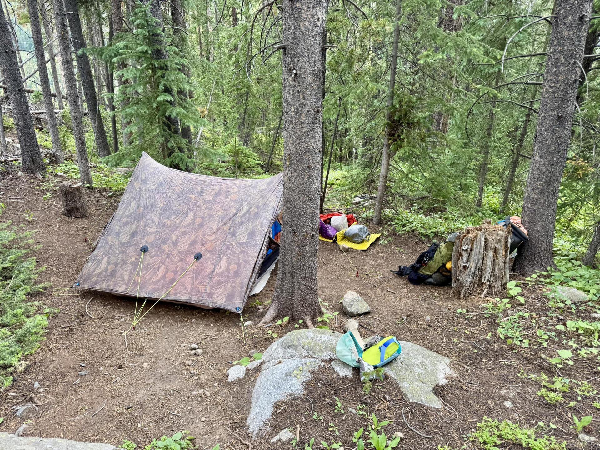 A camouflaged tent and camping gear set up in a dense forest.