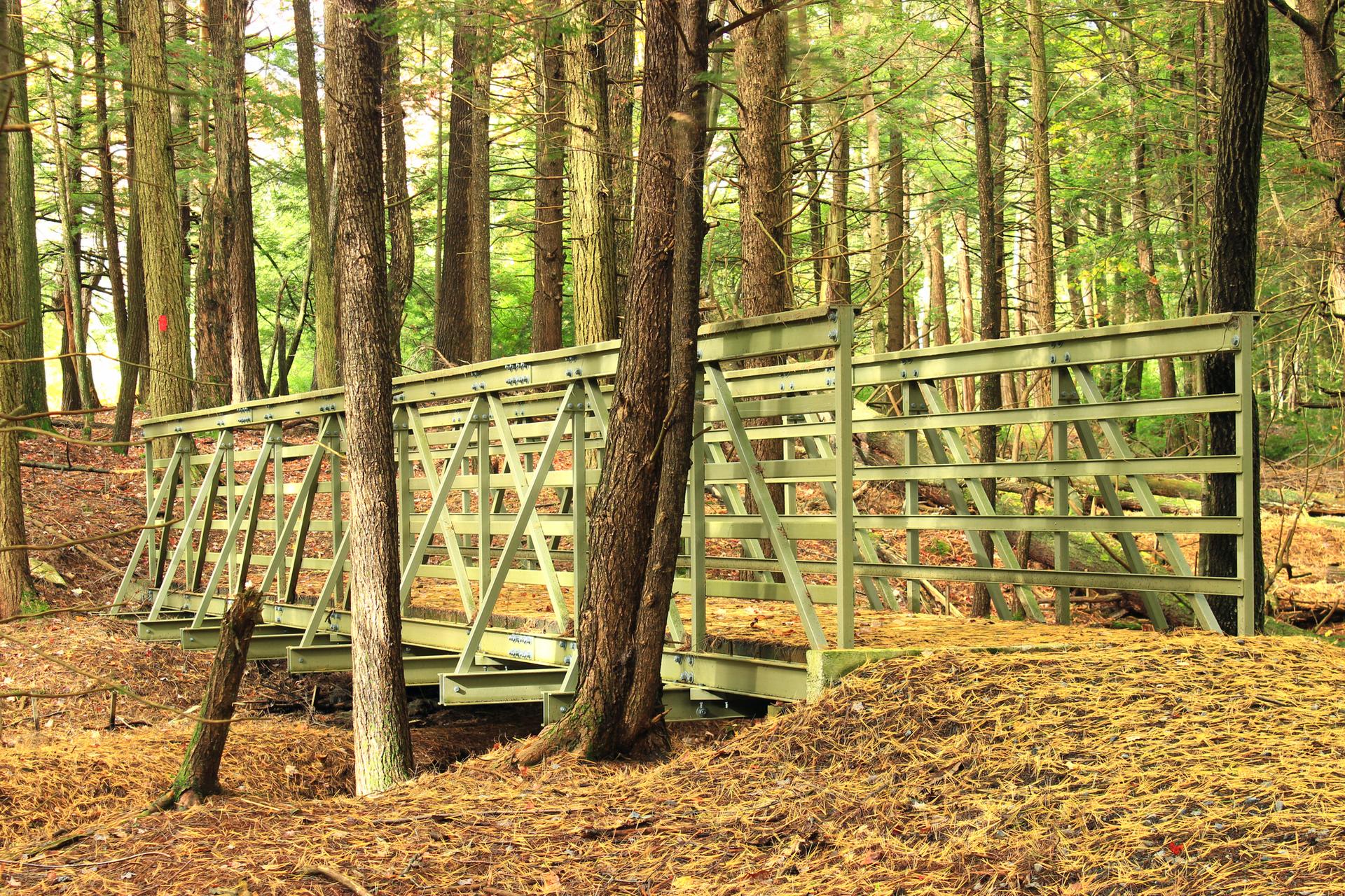 A green metal footbridge spans a small gap in a dense forest.