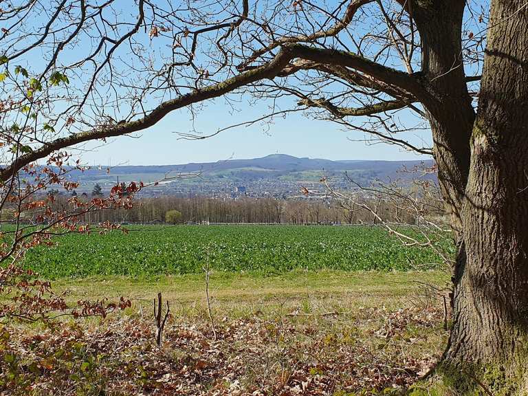 Vue sur le Köterberg - Itinéraires de rando et marche | Komoot