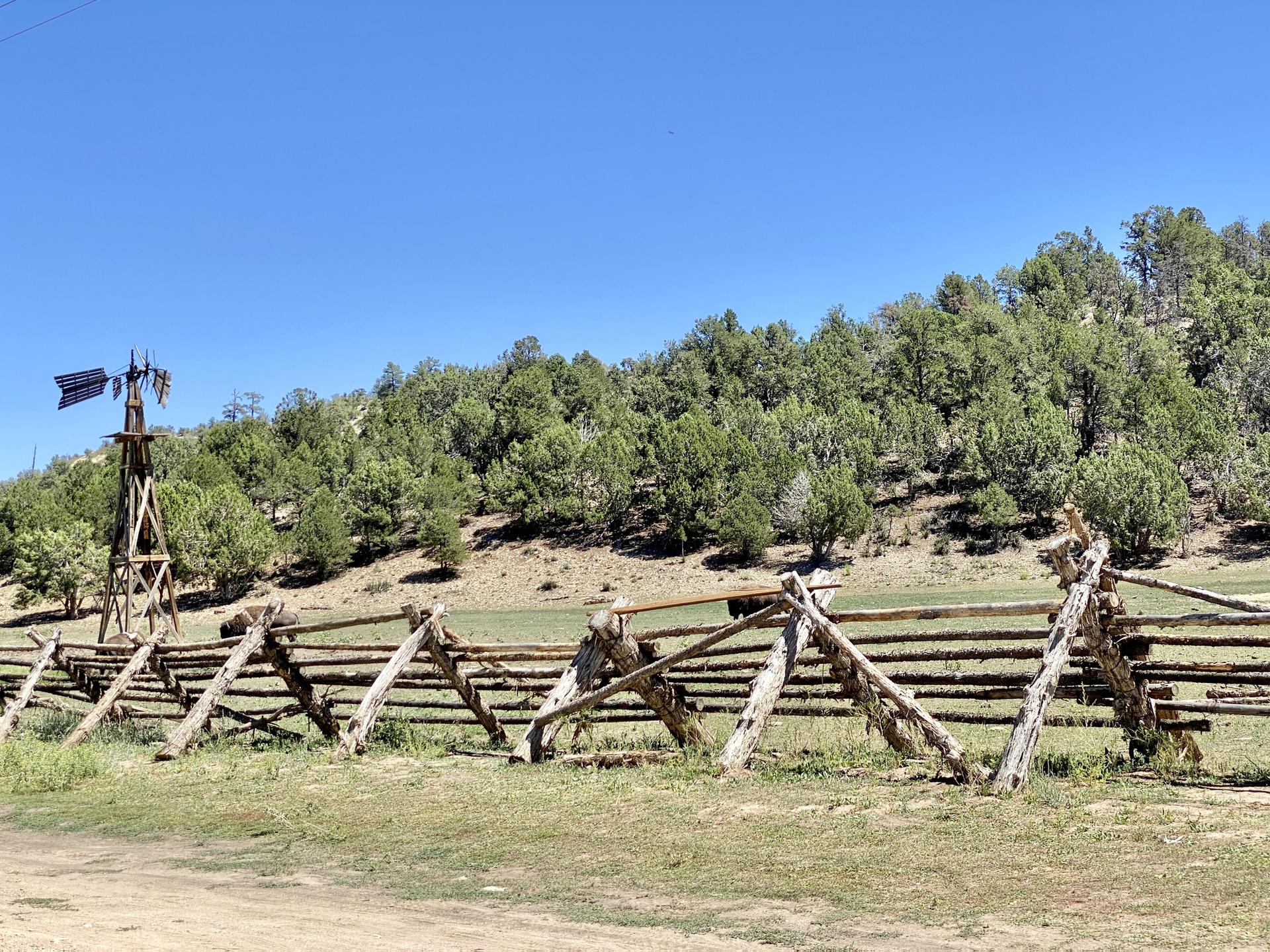 Sunny landscape with a wooden fence, windmill, and forested hill under blue sky.