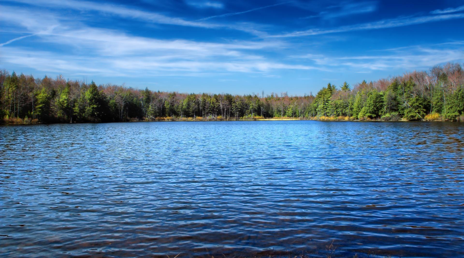 Wide blue lake surrounded by a dense green forest under a bright sky.