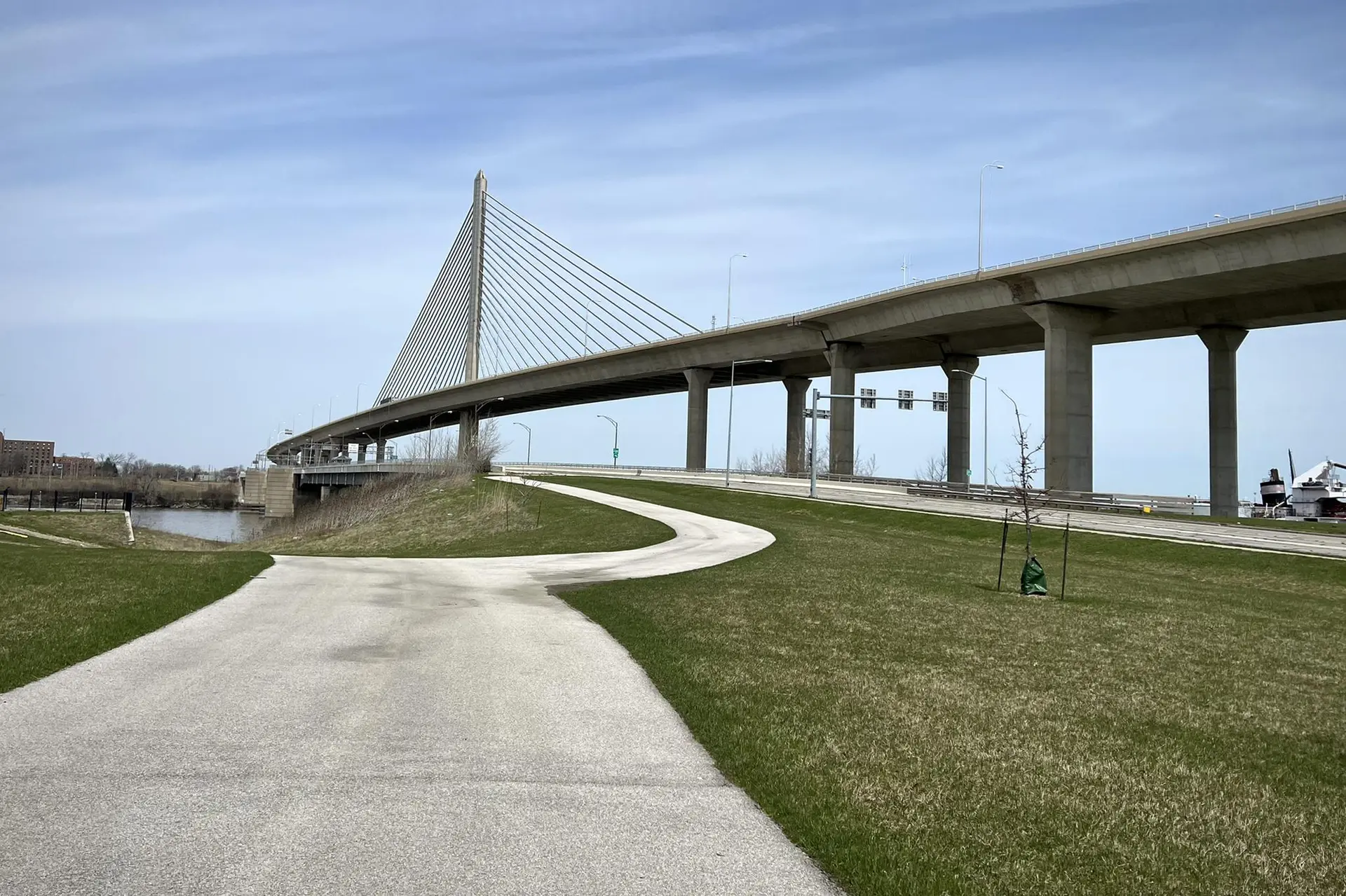 Modern cable-stayed bridge over a paved path and green grassy area.