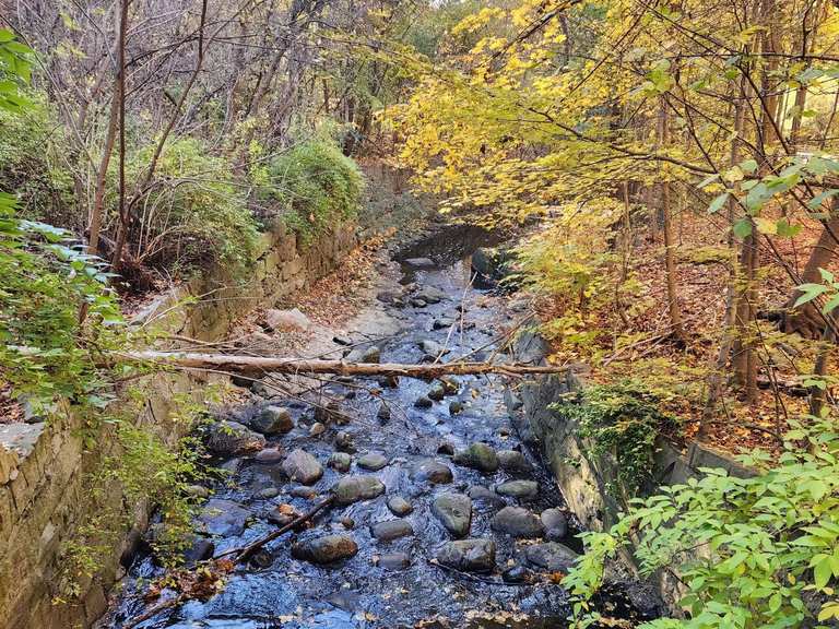 David A. Balfour Park loop — Toronto | Wanderung | Komoot