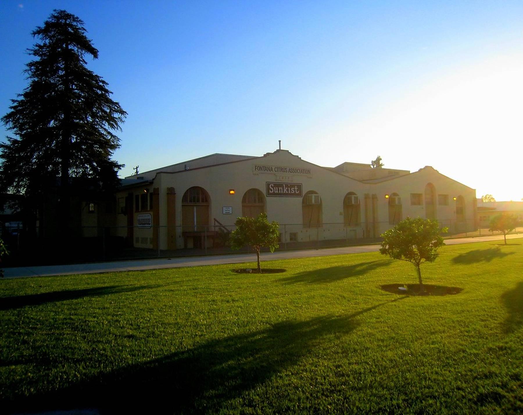 Large building with a Sunkist sign, green lawn, and trees in bright sunlight.