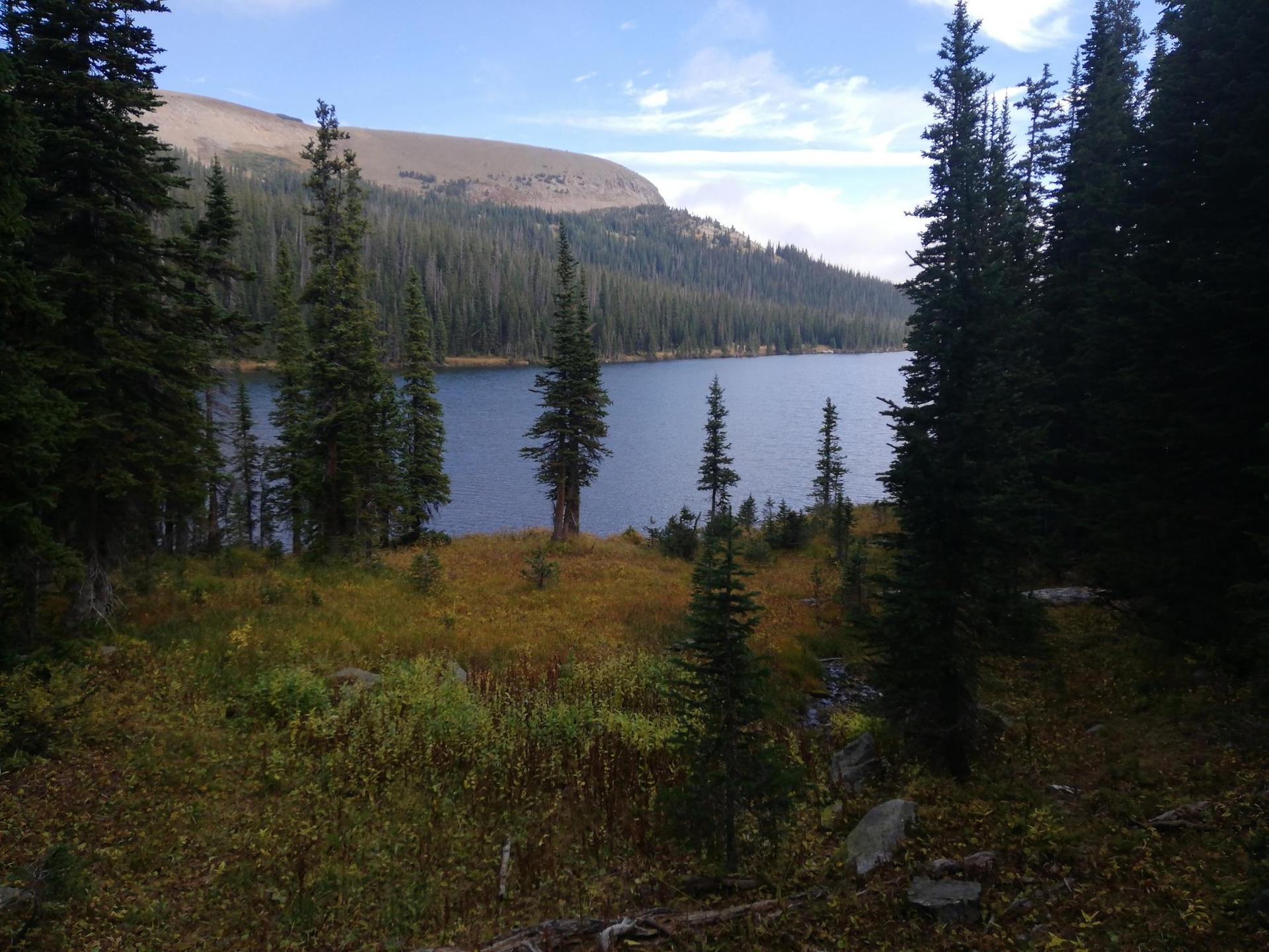 Blue lake surrounded by dense pine forest under a bright sky.