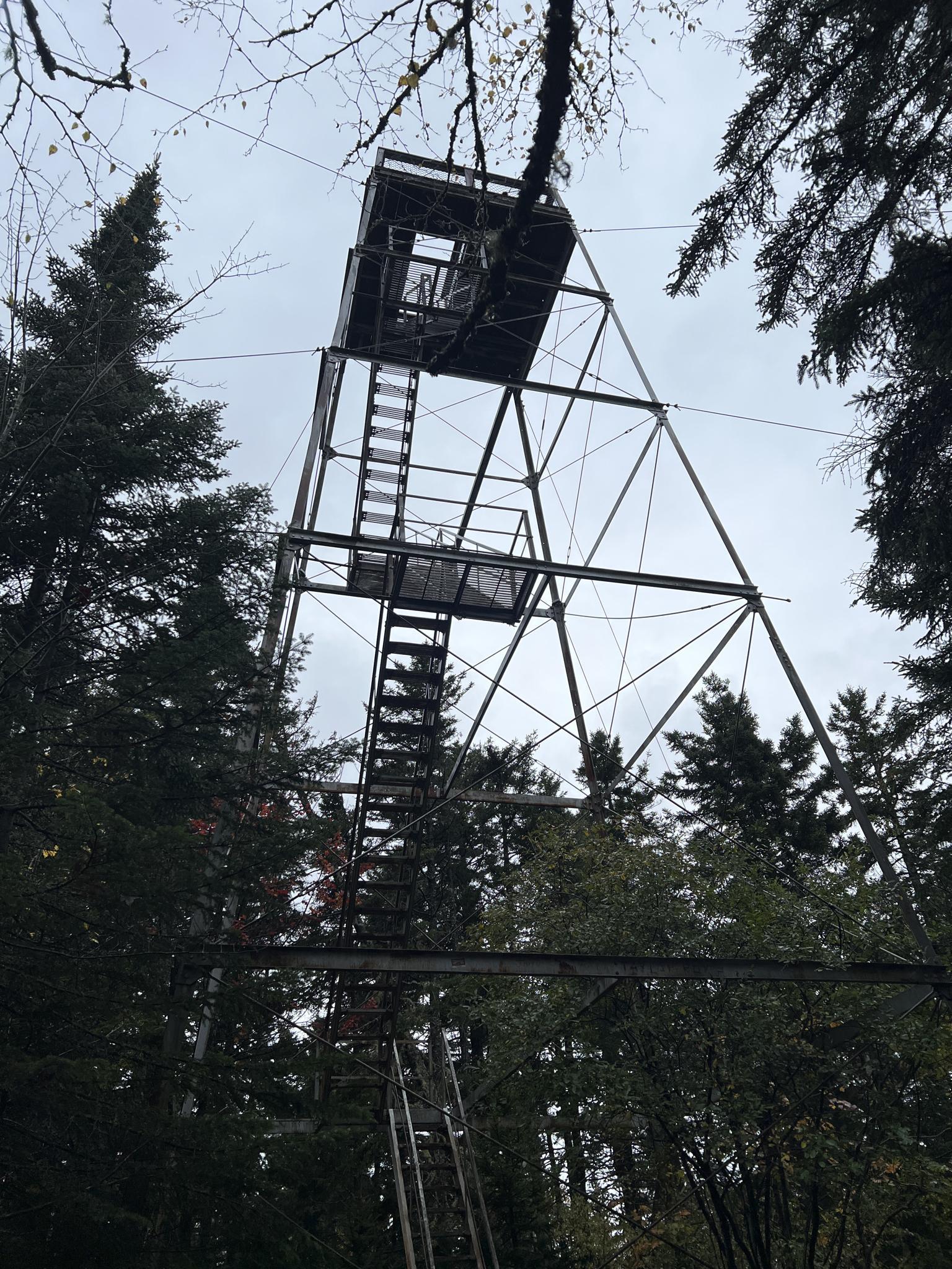 Tall metal fire tower rising above evergreen trees under a cloudy sky.