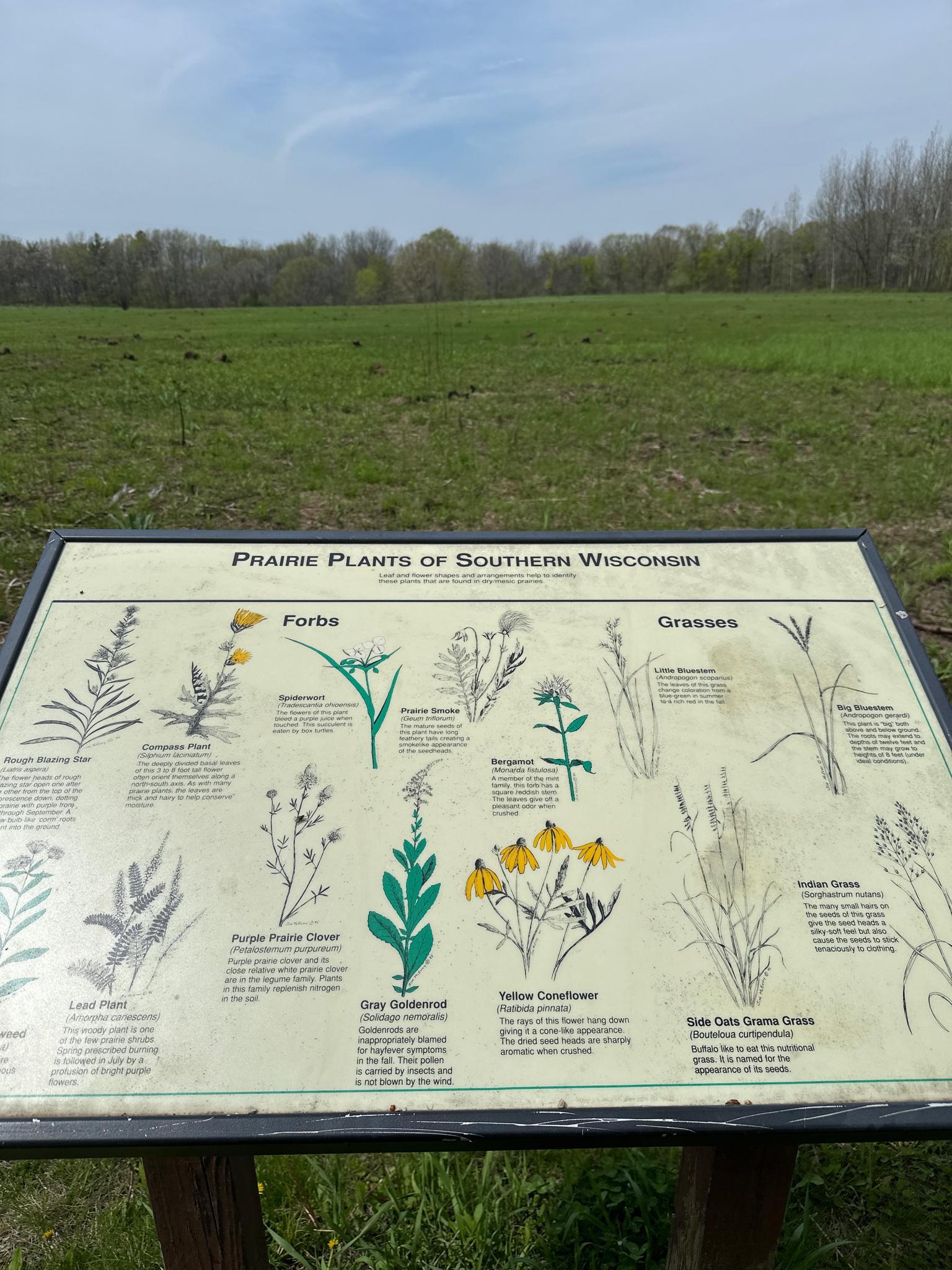 An interpretive sign about prairie plants stands in a green field under a cloudy sky.