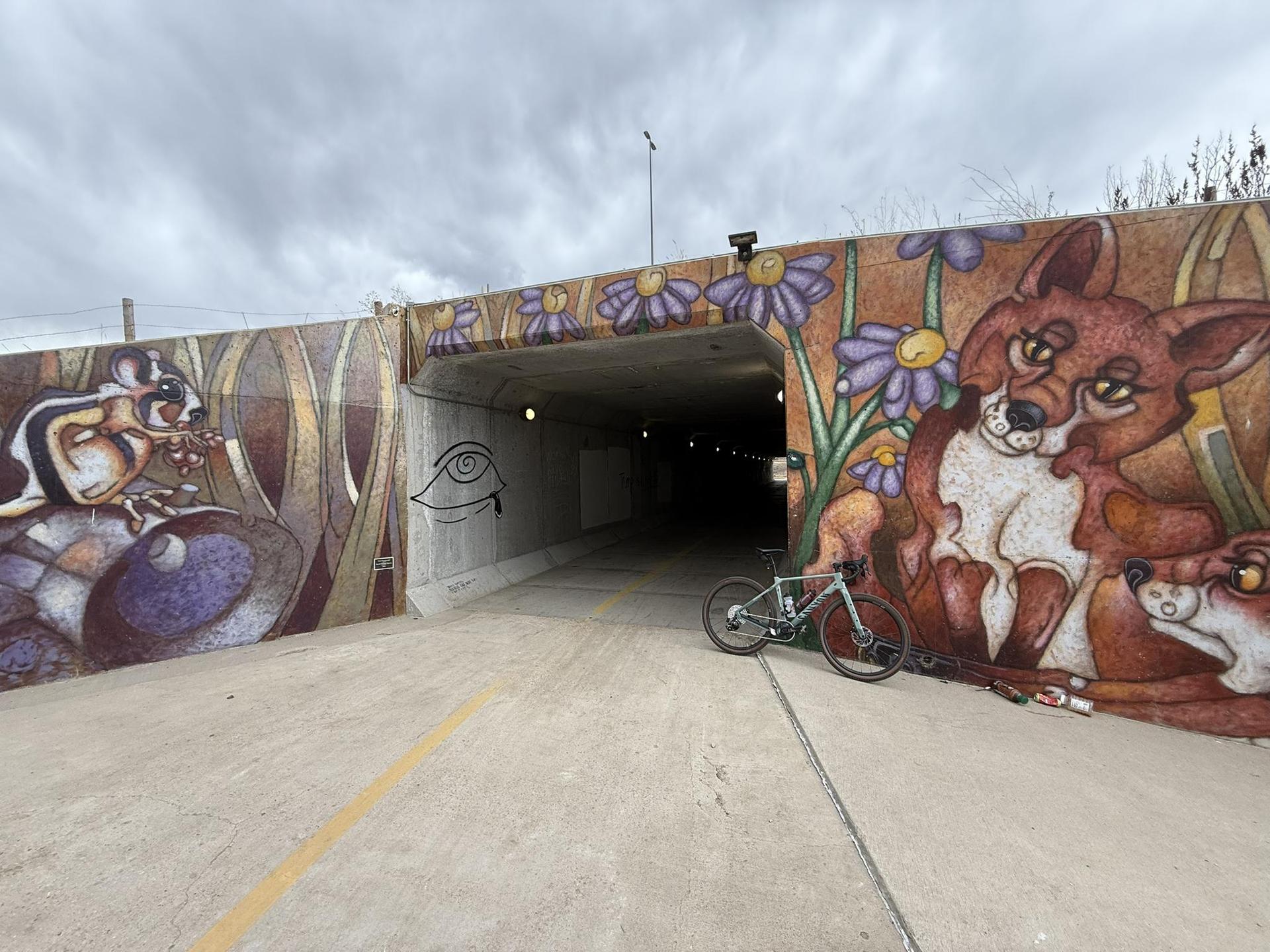 Underpass with vibrant animal murals on walls, bicycle parked on path.