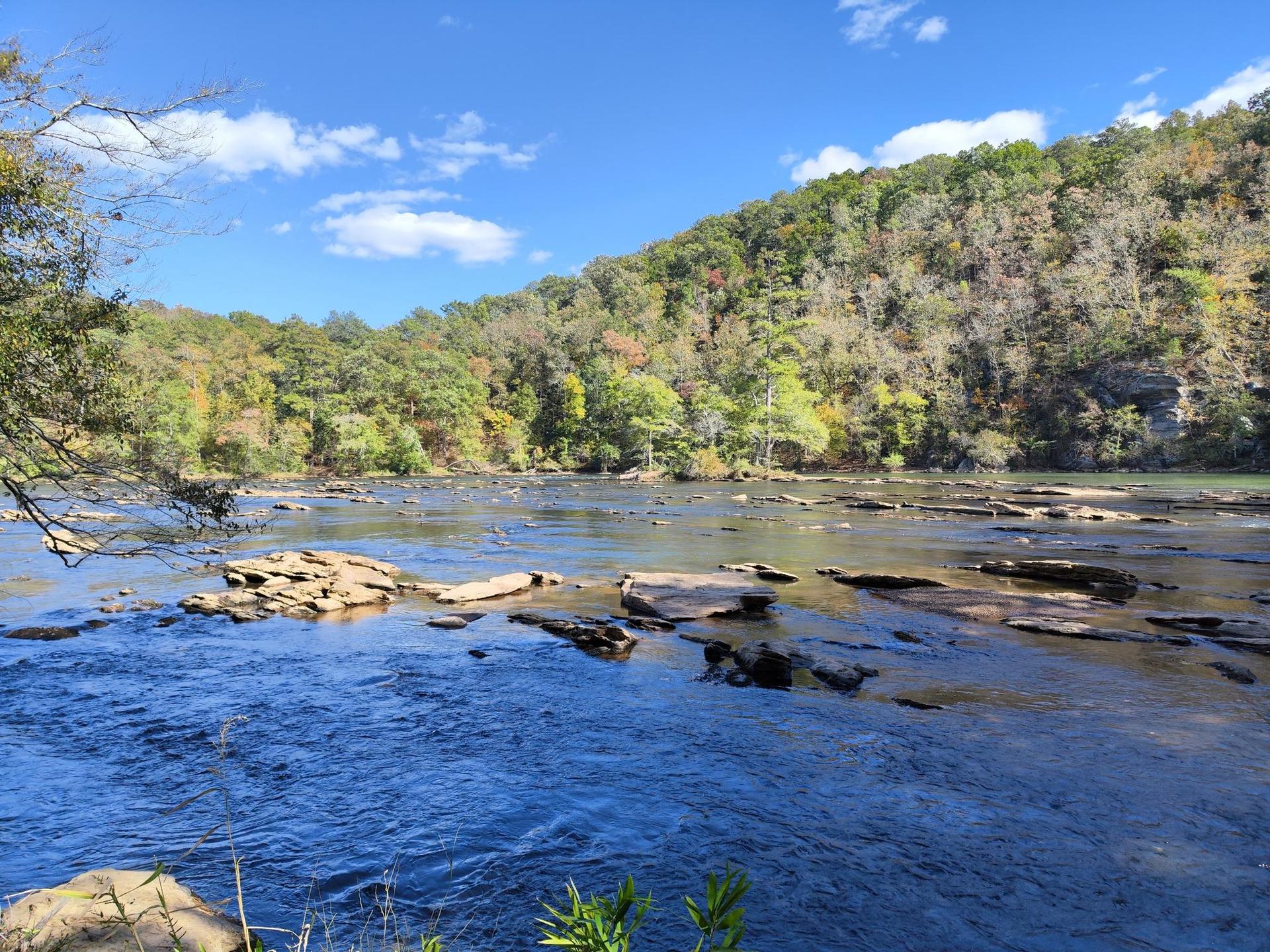 Sunny river scene with exposed rocks, green trees, and a bright blue sky.